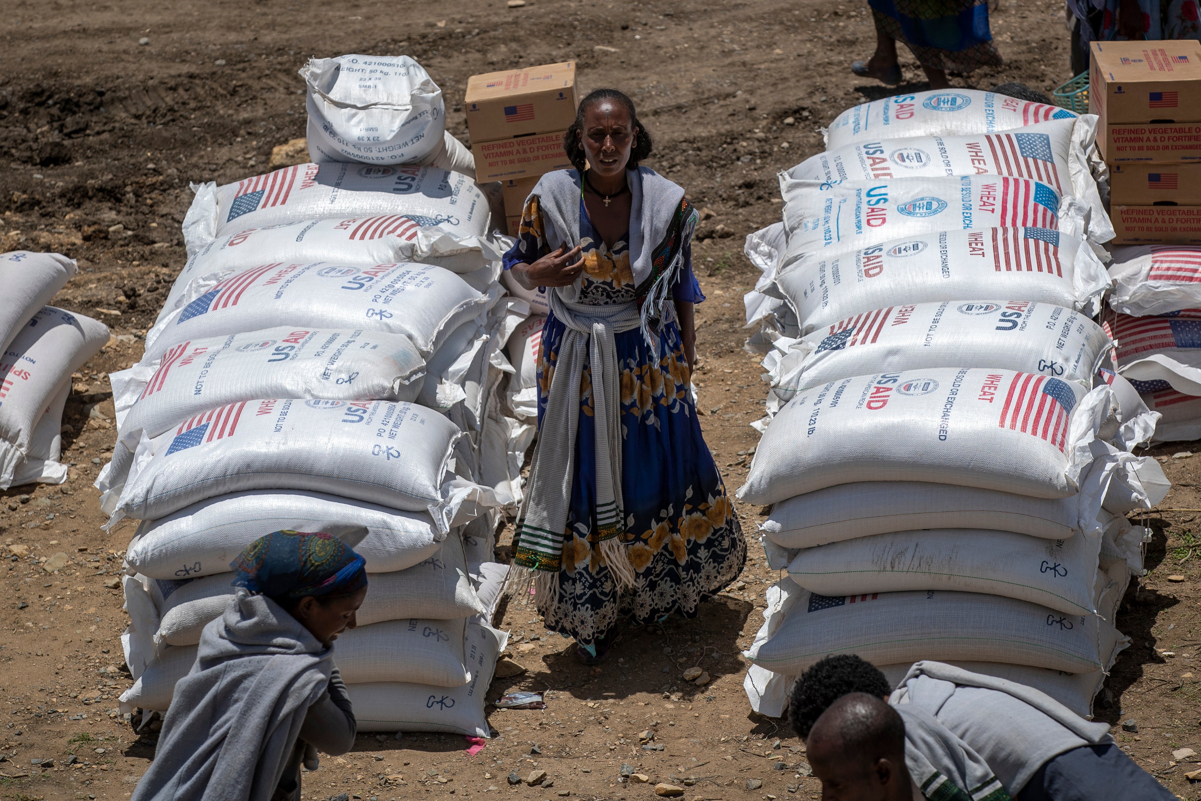 Ethiopia Aid Theft