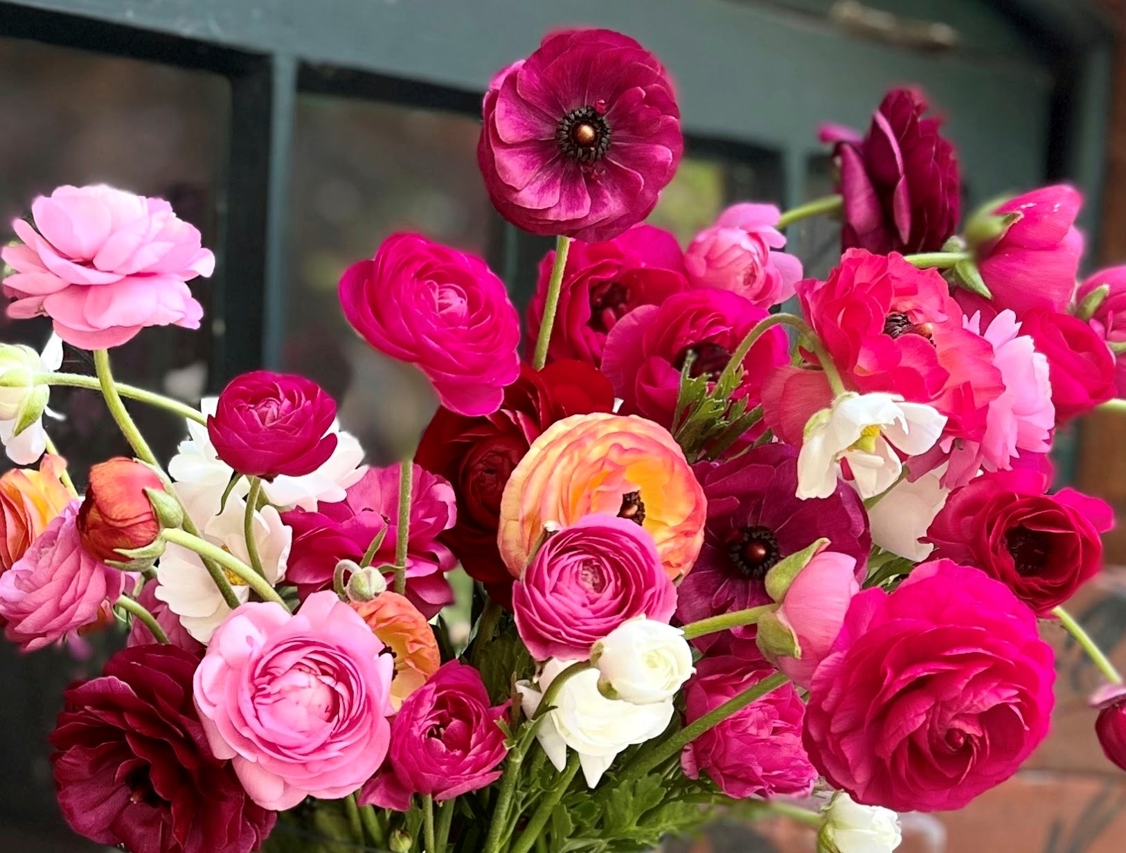 Gardening- Cutting Garden