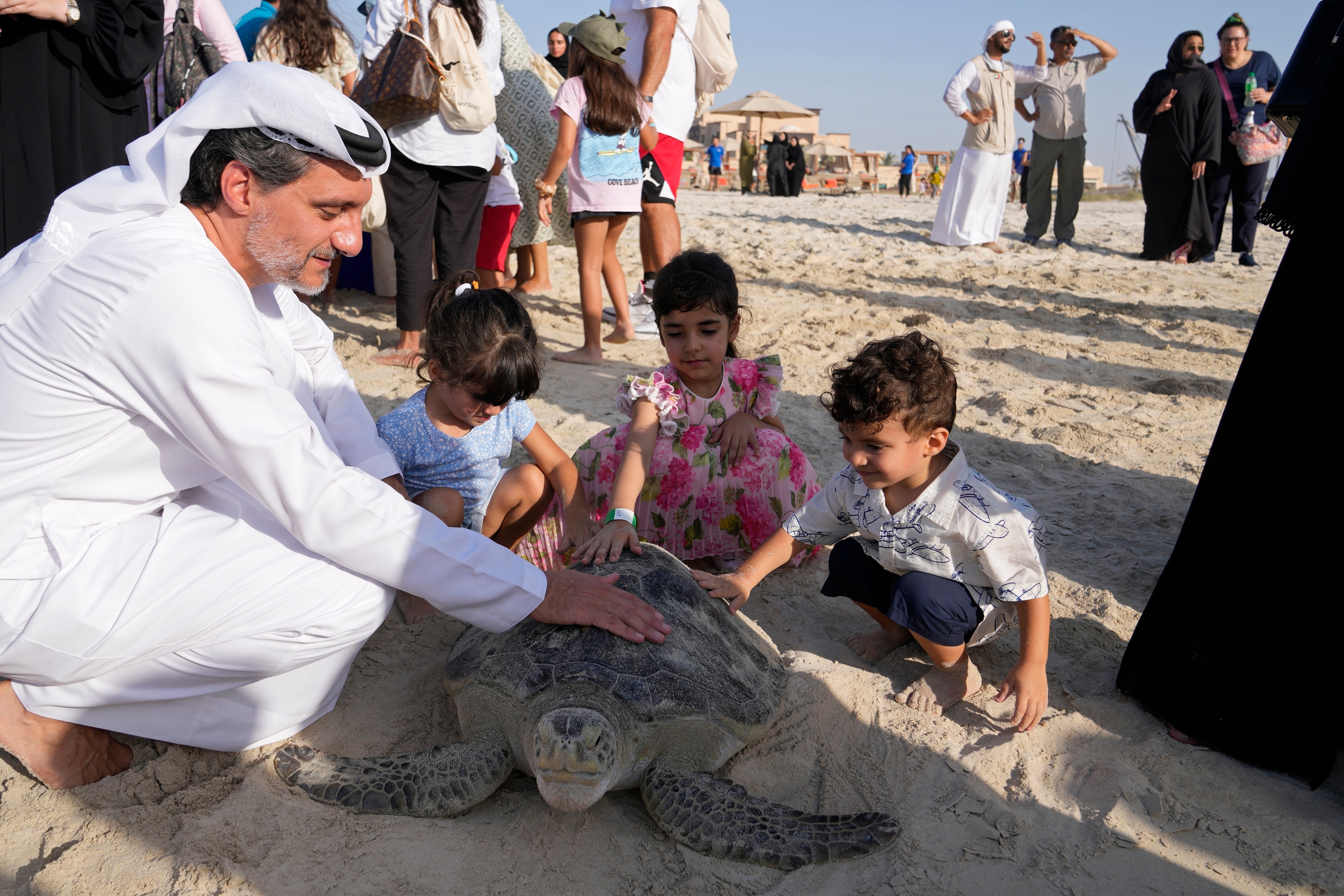Climate UAE Turtles