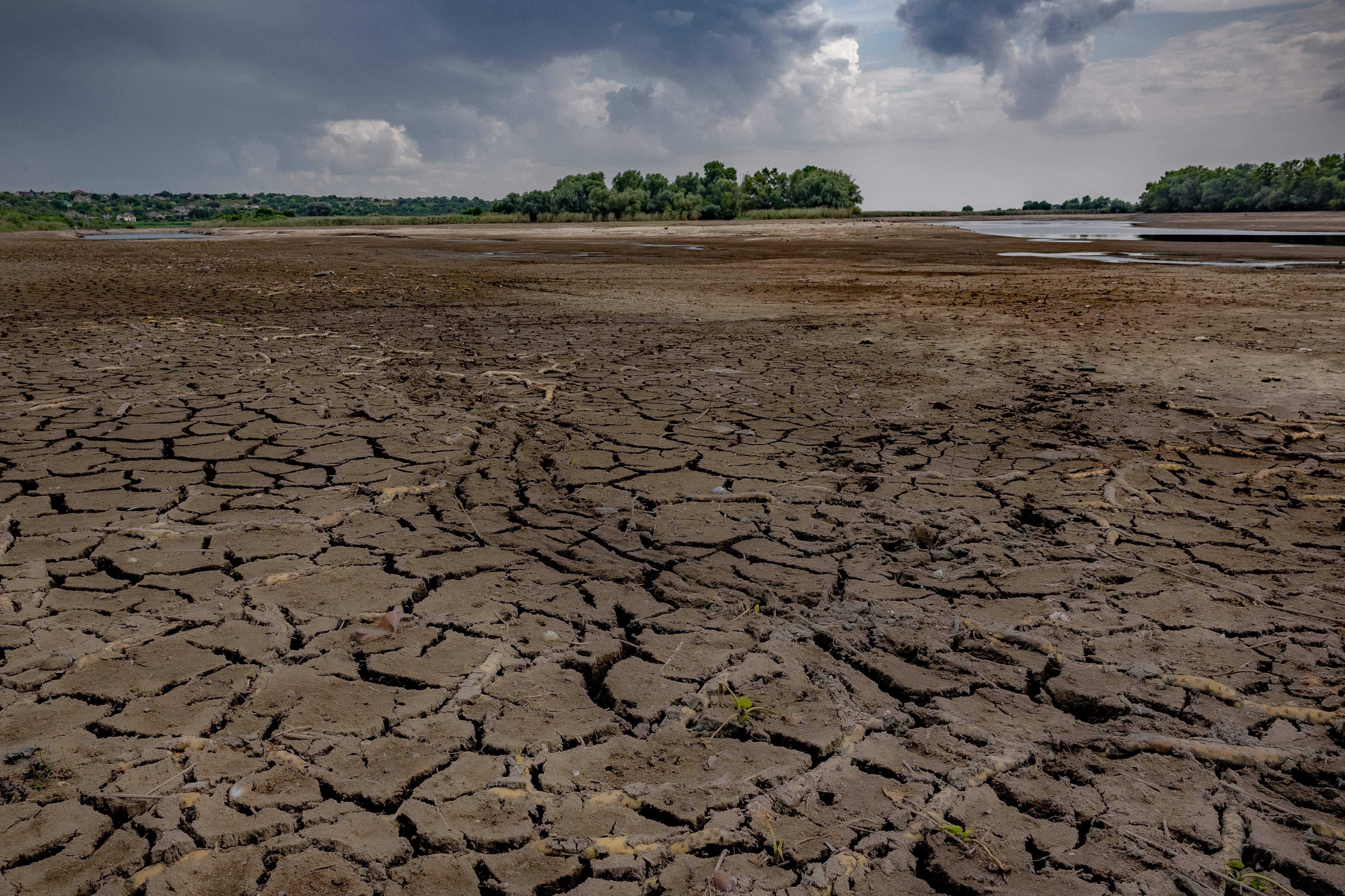 The empty Kakhovka reservoir is destroying livelihoods and may impact global food security