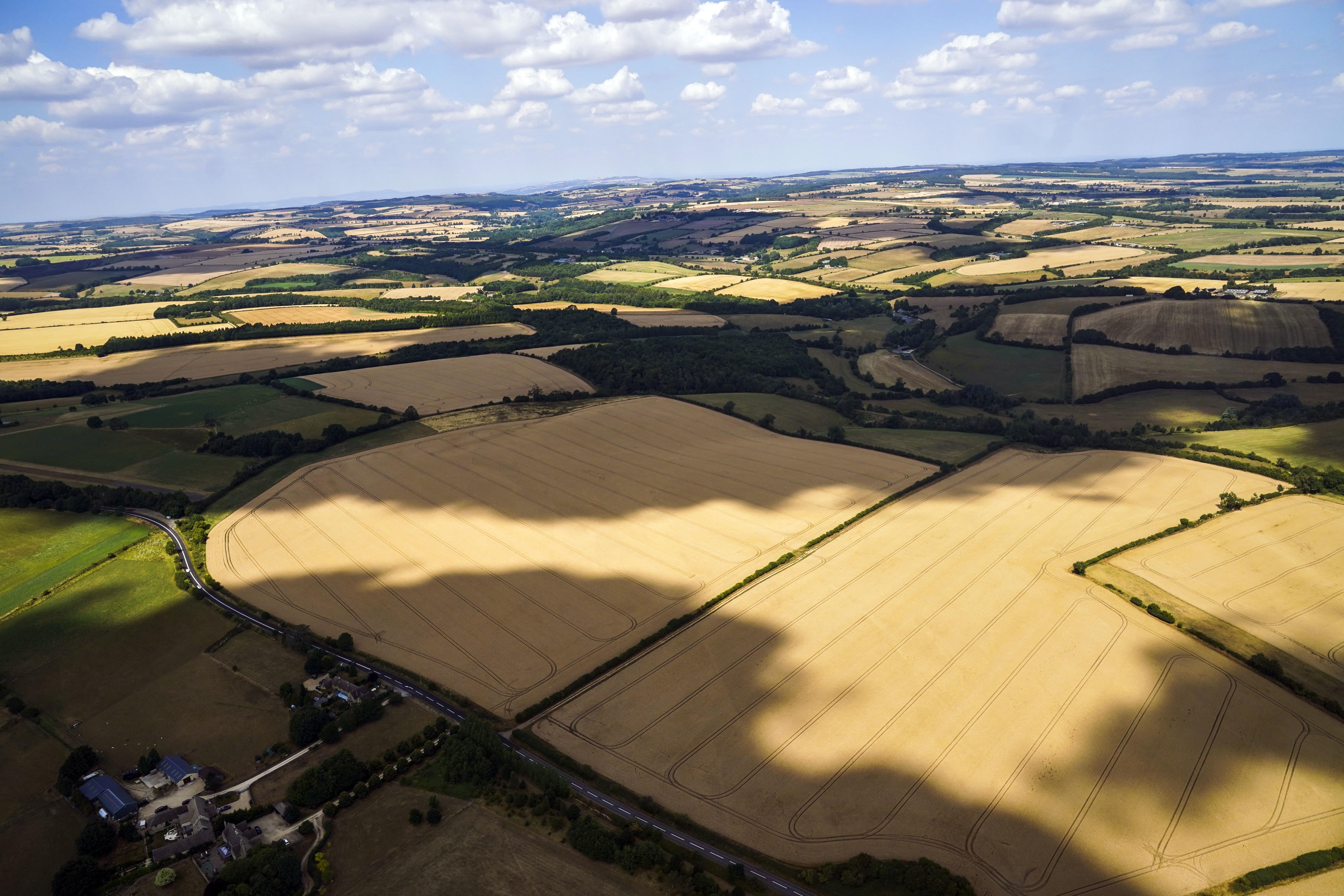 Agriculture was the main source of emissions in Northern Ireland and Scotland in 2021, according to new Government figures (Steve Parsons/PA)