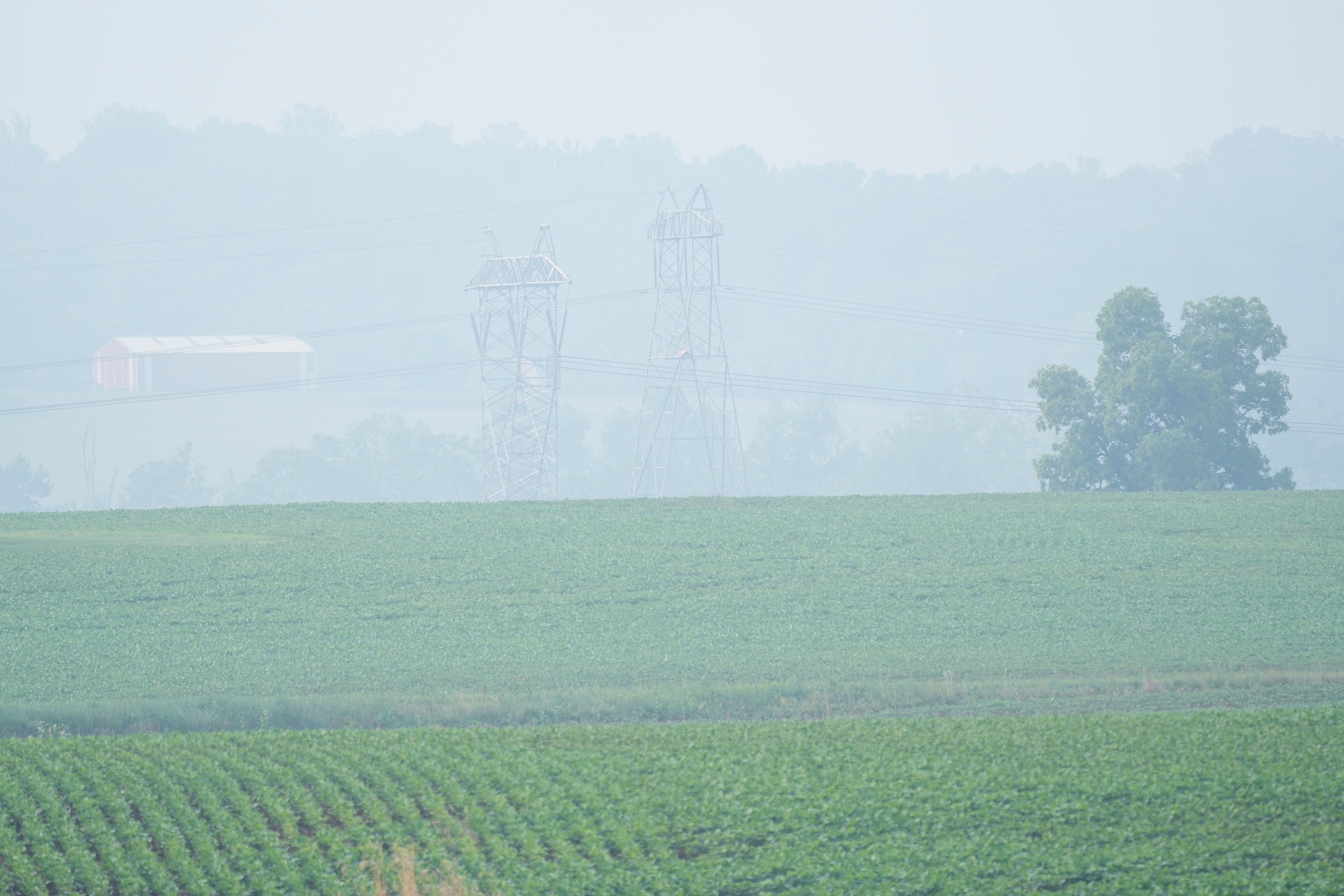 Canada Wildfire Wind Movement