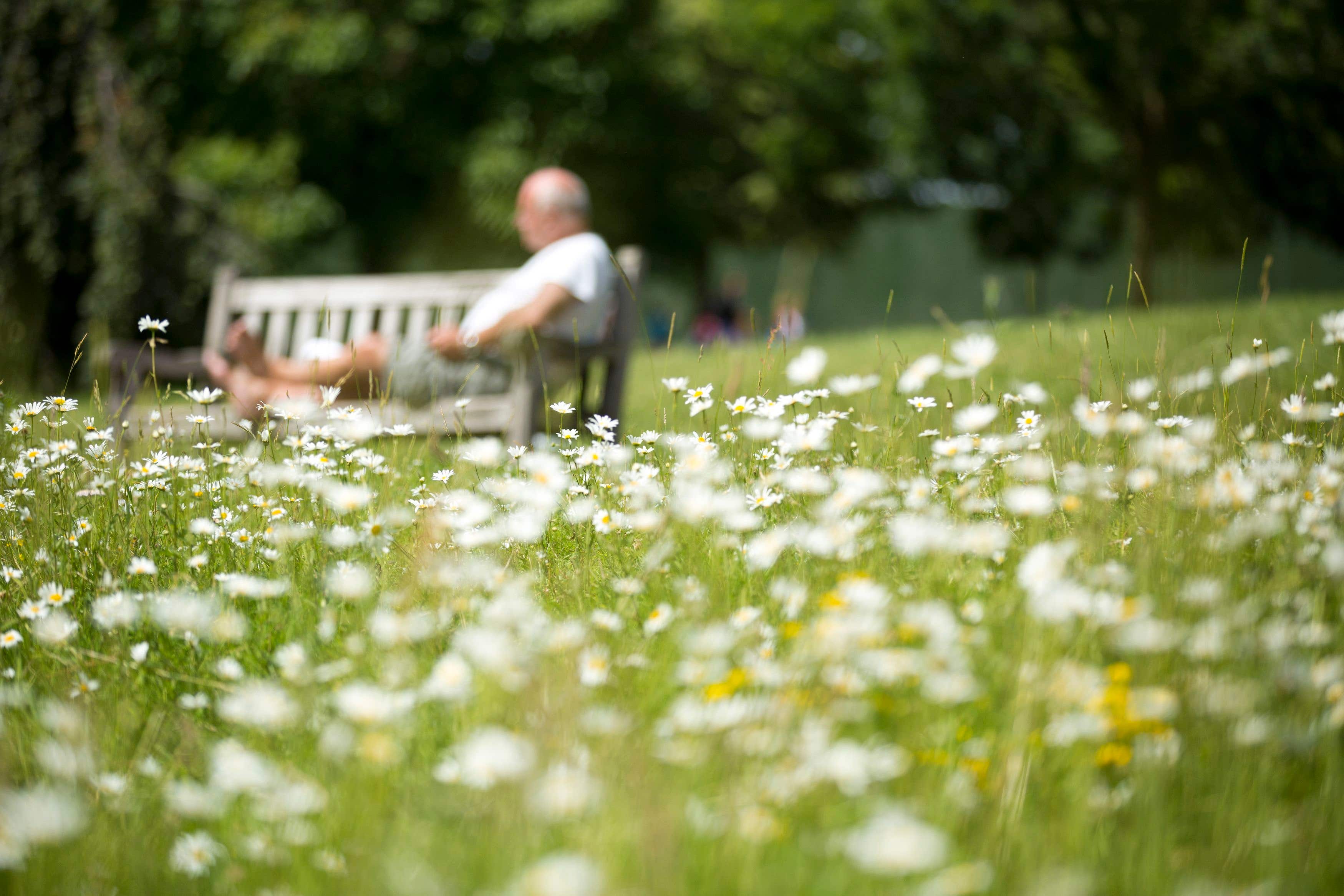 Loneliness linked with elevated risk of cardiovascular disease in patients with diabetes