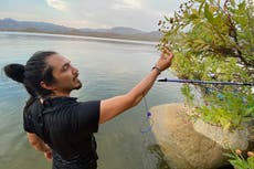 A California scholar's research into a flowering shrub took him to Mexico and a violent death