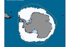 Antarctic sea ice at record low for end of June, says Met Office