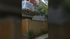 Watch: Officer rescues three dogs from burning house in Virginia