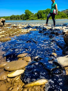 Cleanup begins after asphalt binder spill into Montana's Yellowstone River after train derailment