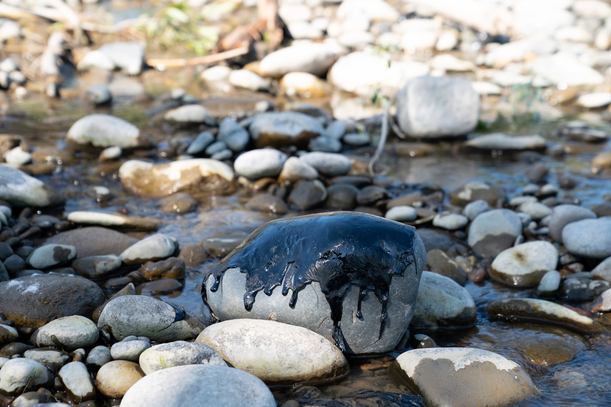 Montana Bridge Collapse