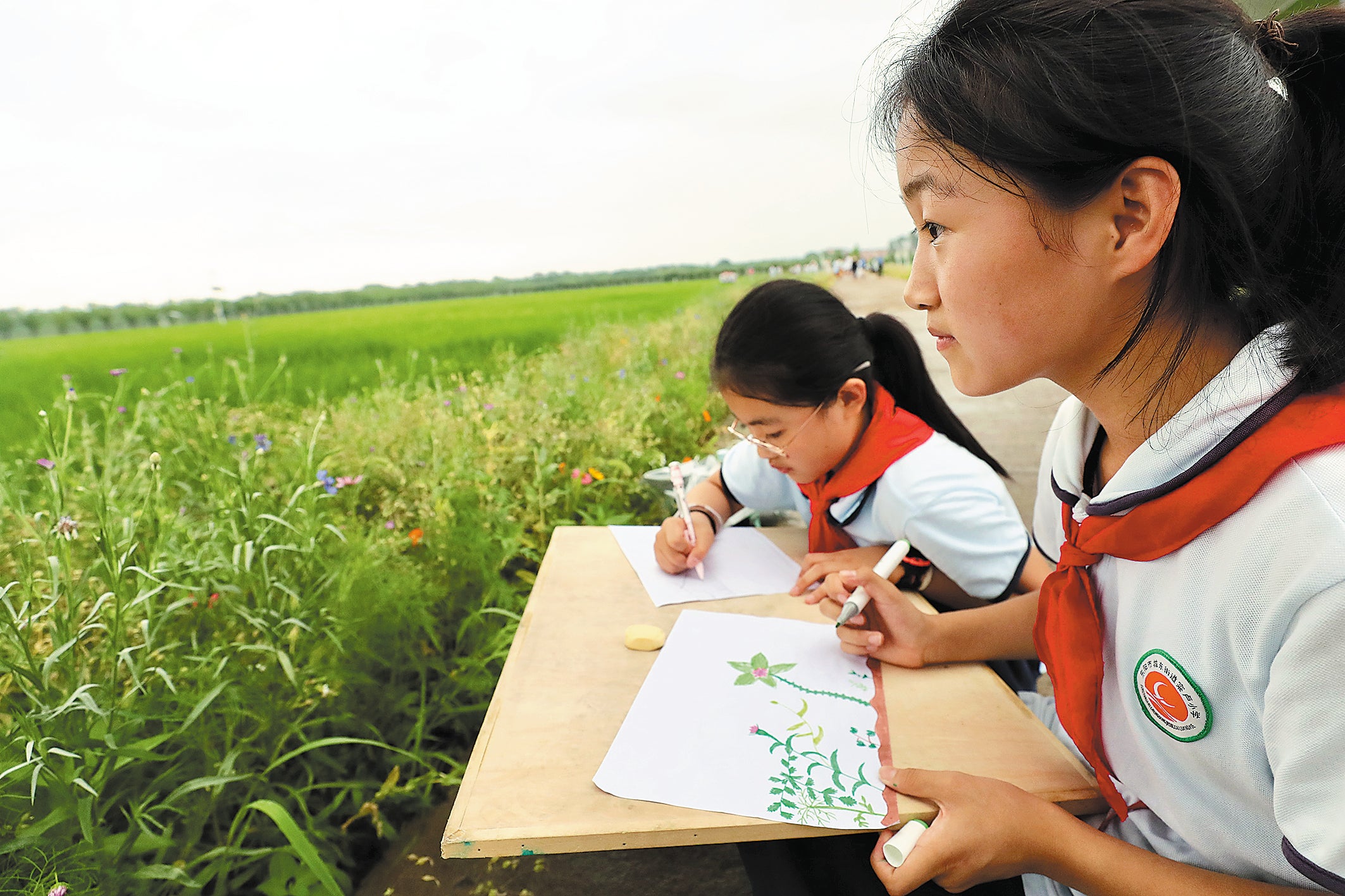 Students have a drawing lesson in the shared fields in Cailu on June 8, 2023