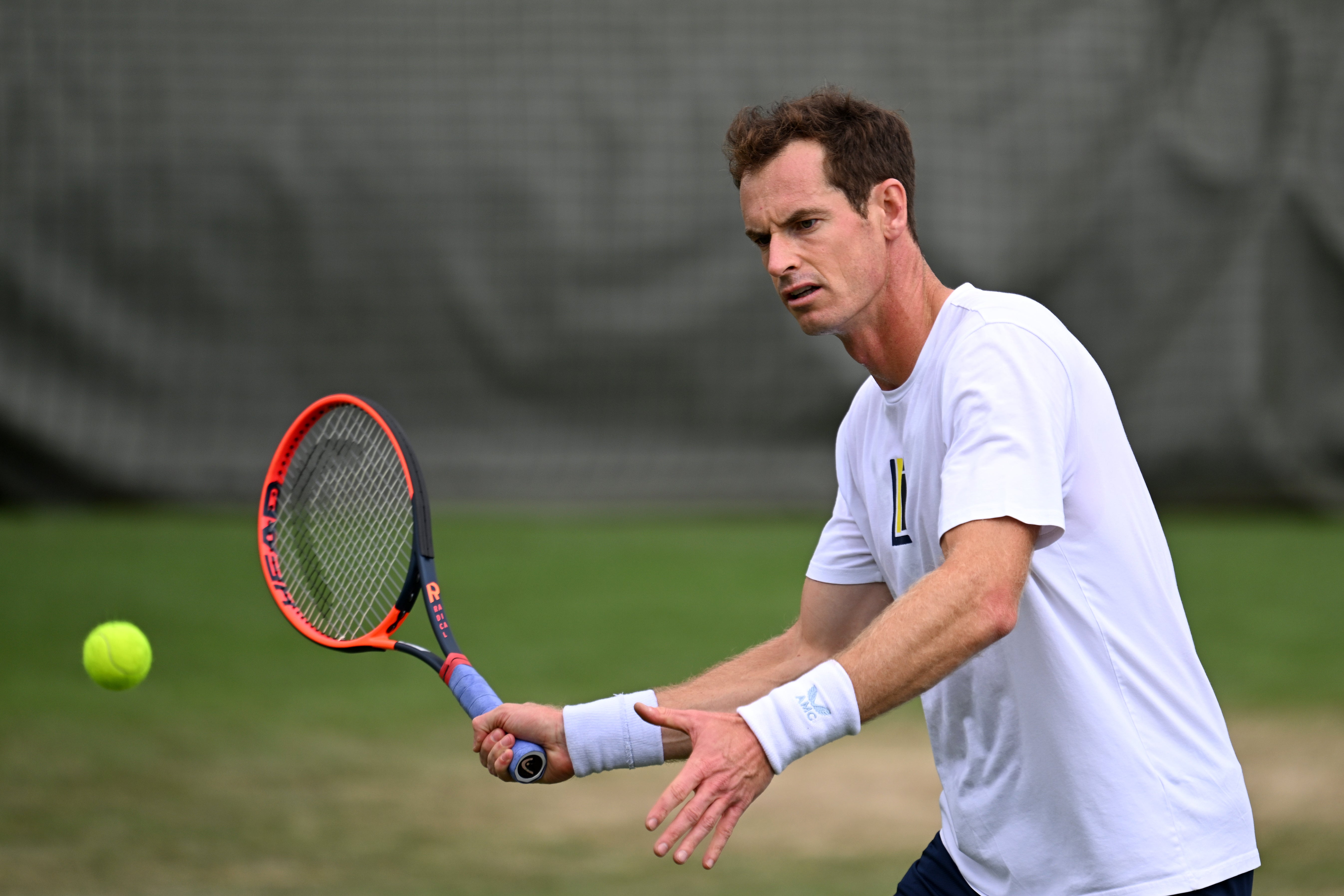 What time is Andy Murray playing at Wimbledon today?