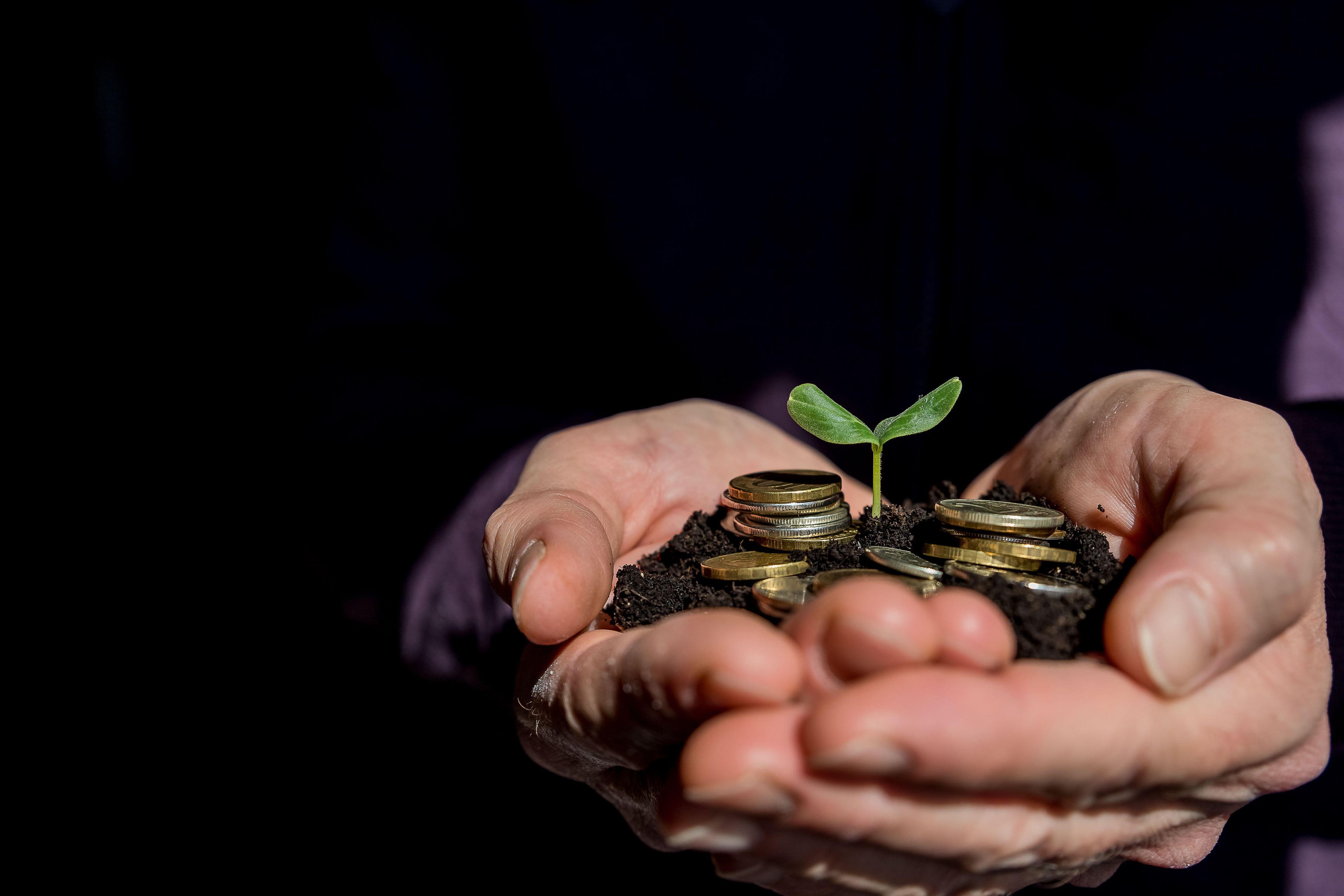 Top tips for saving money on your garden in a cost-of-living crisis (Alamy/PA)