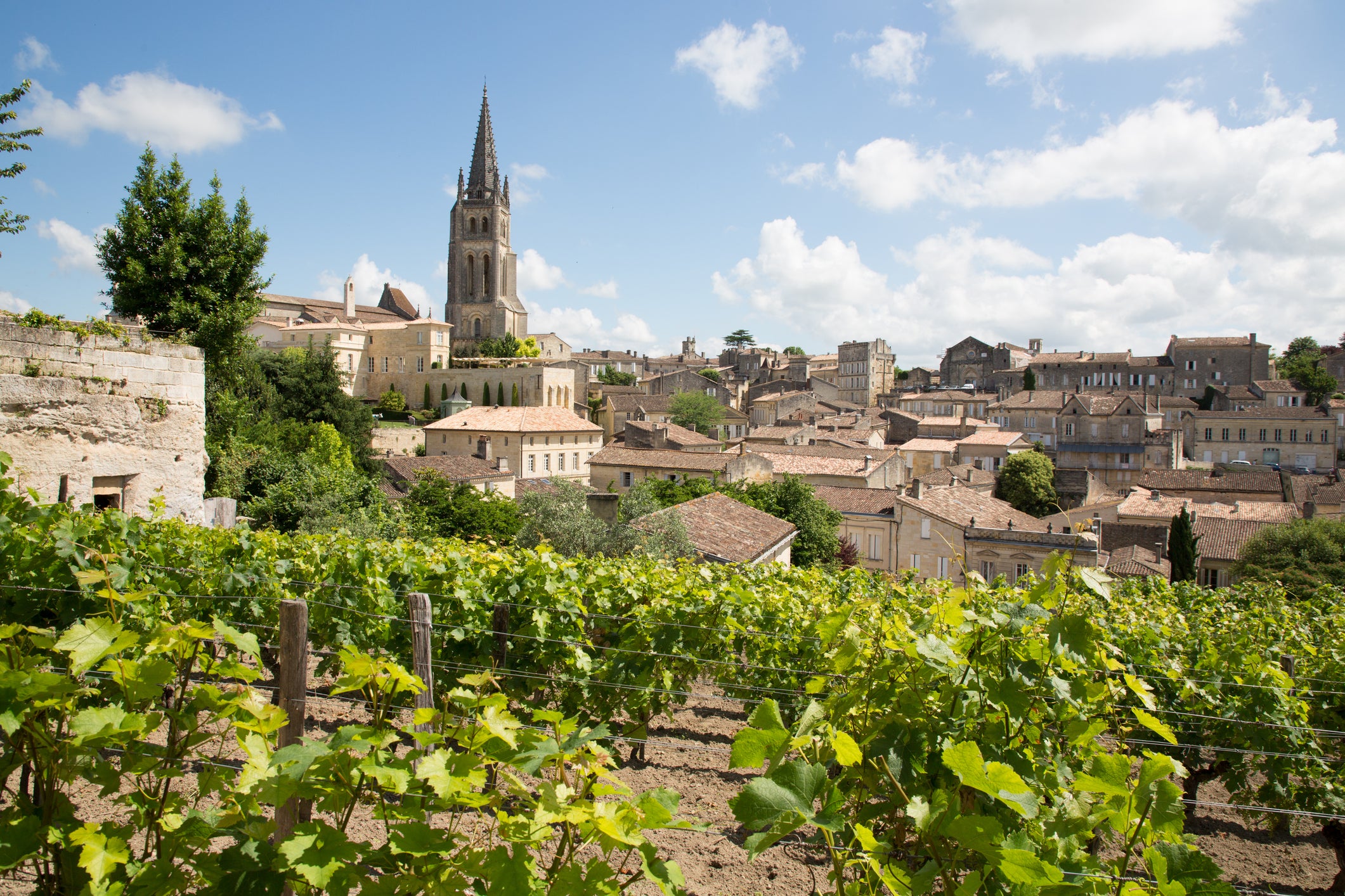 A view of Saint Emilion village, Bordeaux, from the vines