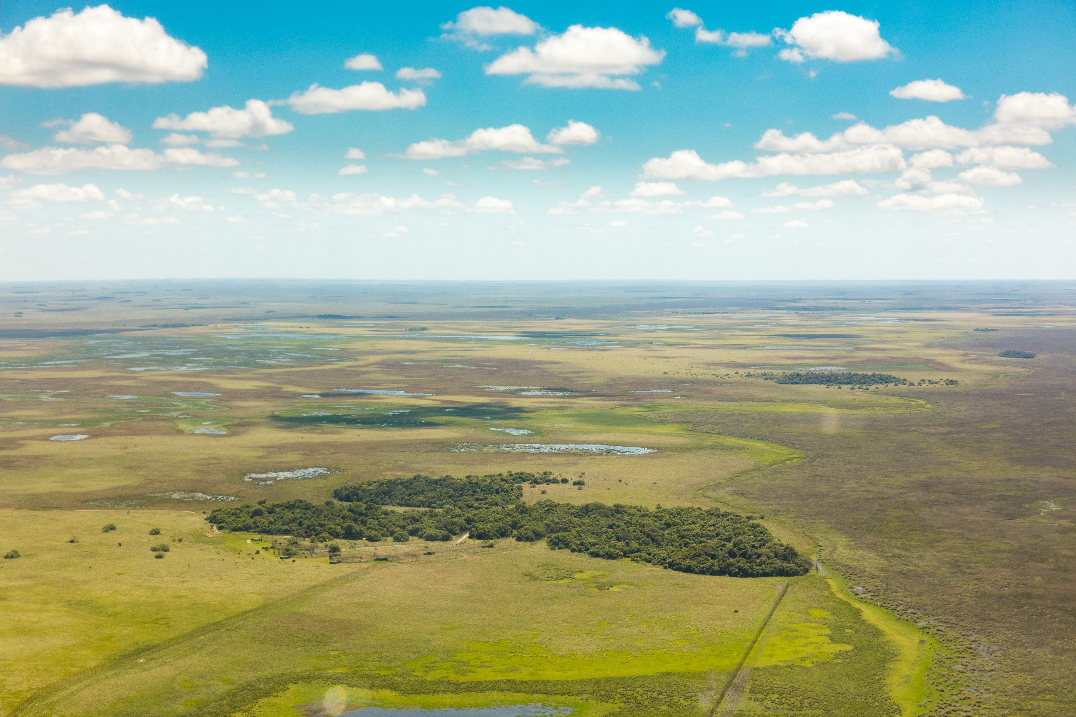 A view over the wetlands