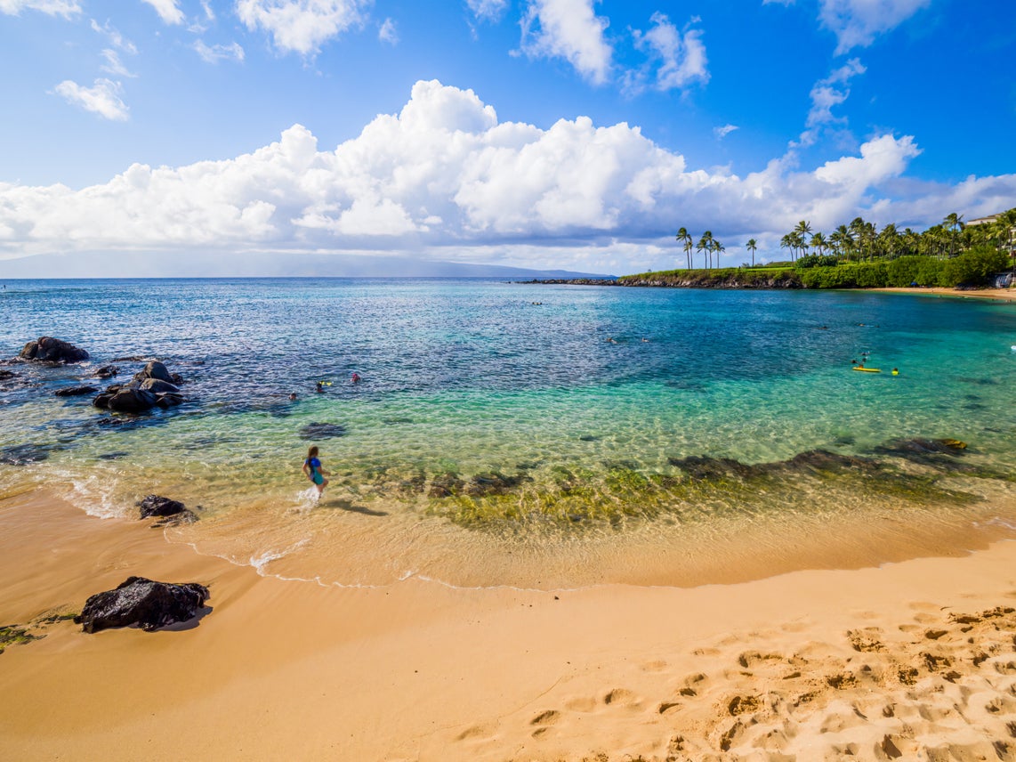 This snorkelling spot has an abundance of marine life, including sea turtles