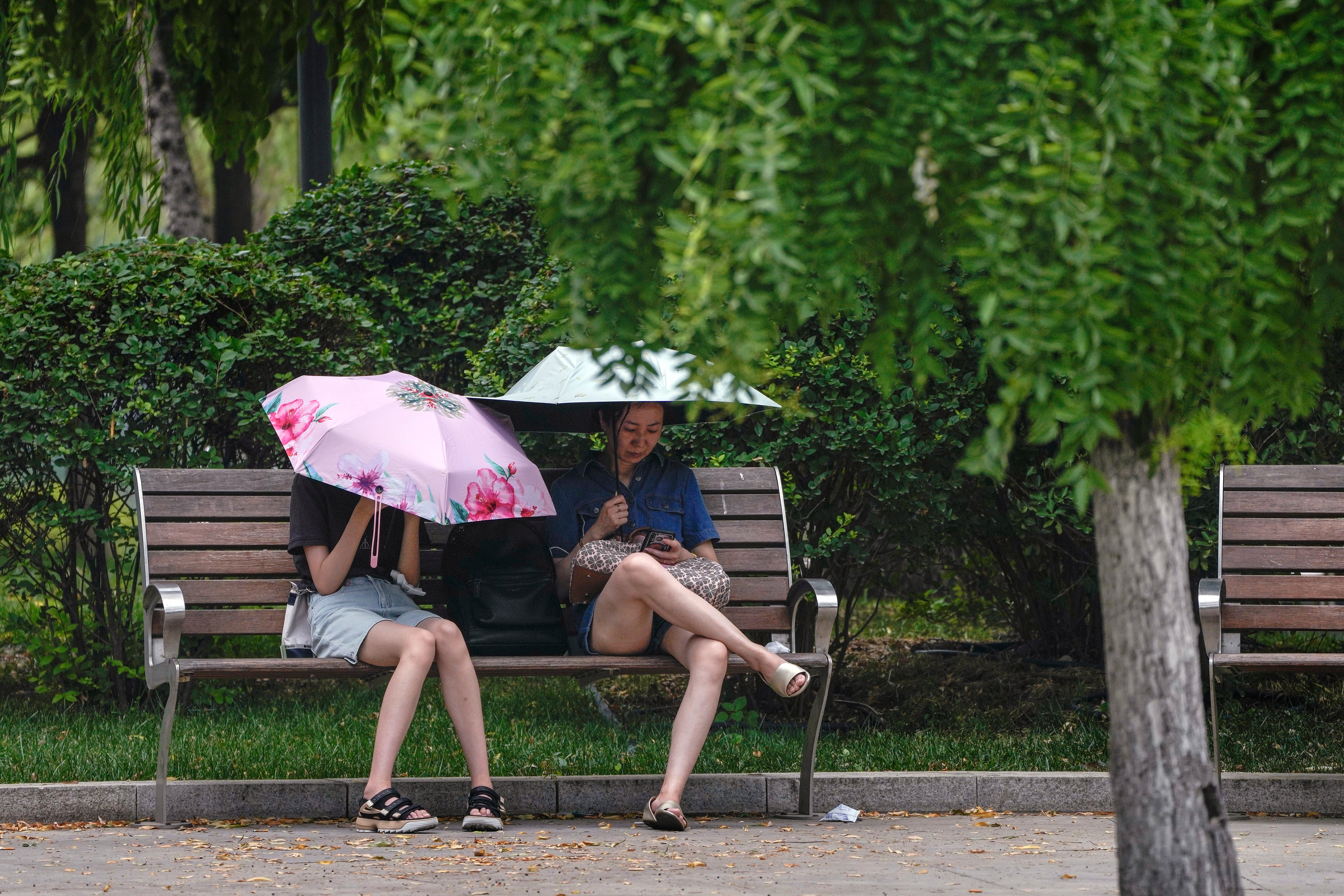 China saw record high temperatures this summer