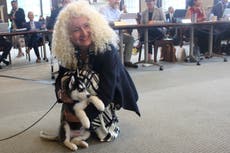 Hackers claim responsibility for sending hoax email claiming UConn's president had died