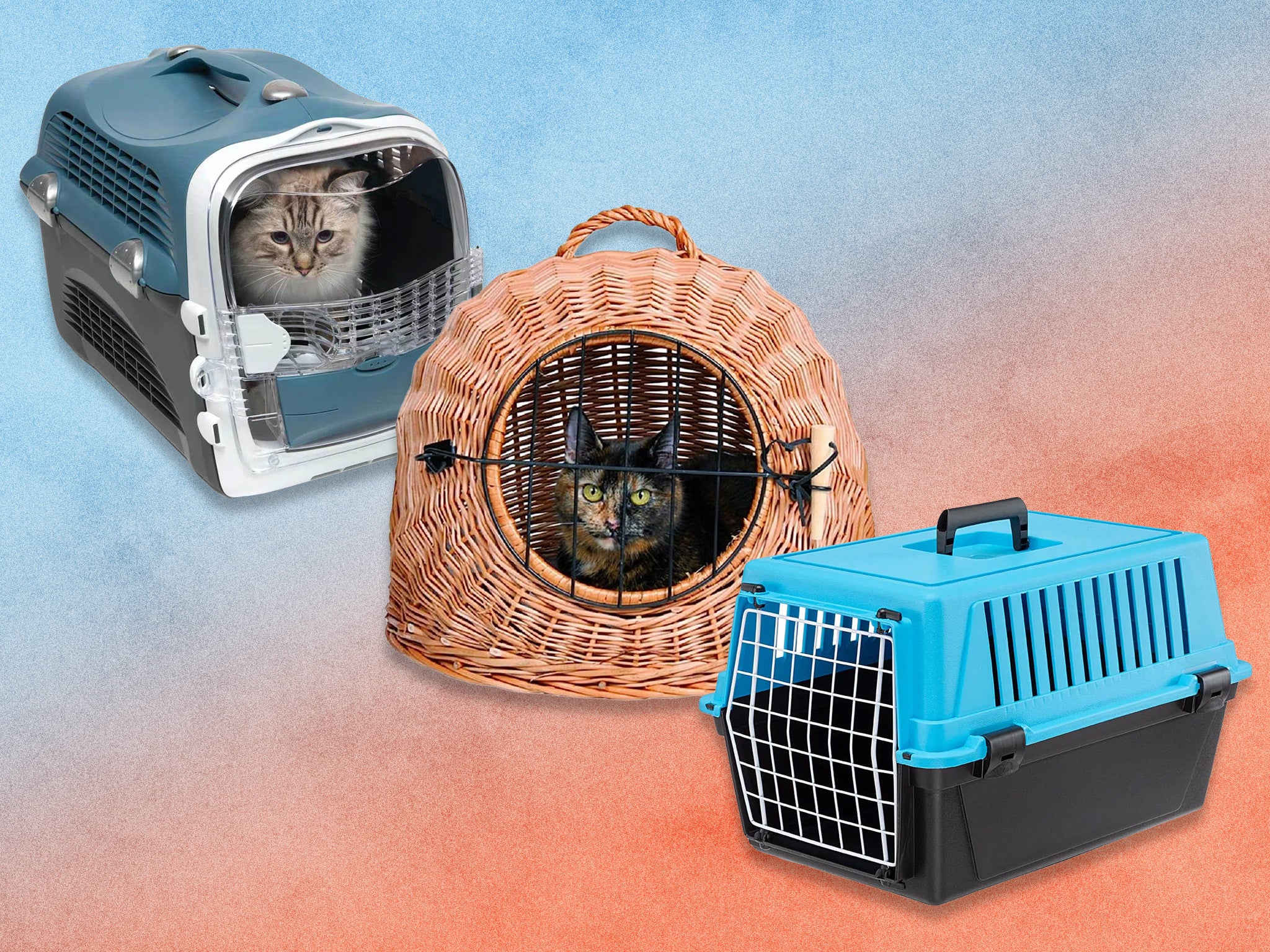 8 best cat carriers for transporting your furry friend with ease