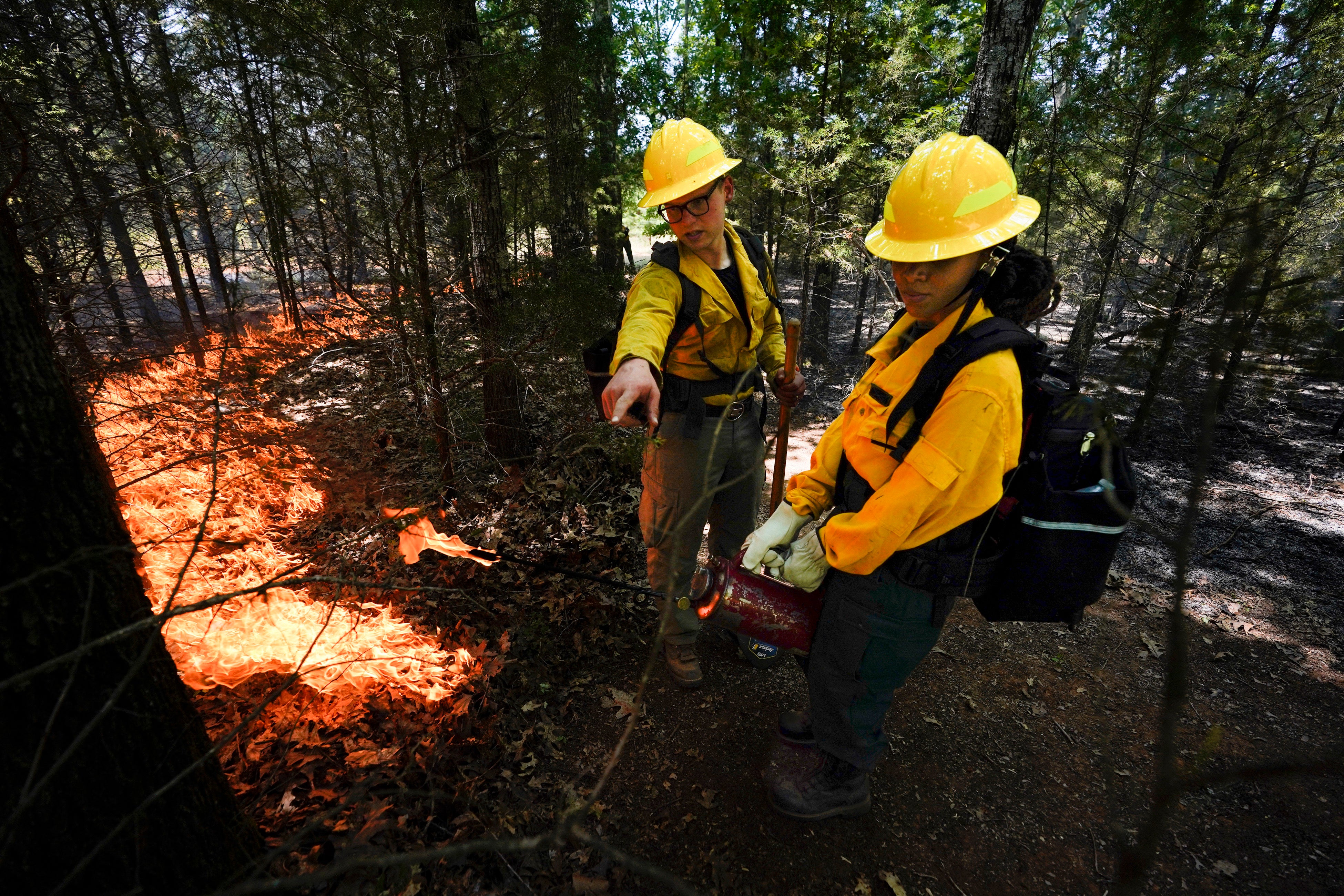 Wildland Firefighting Diversity