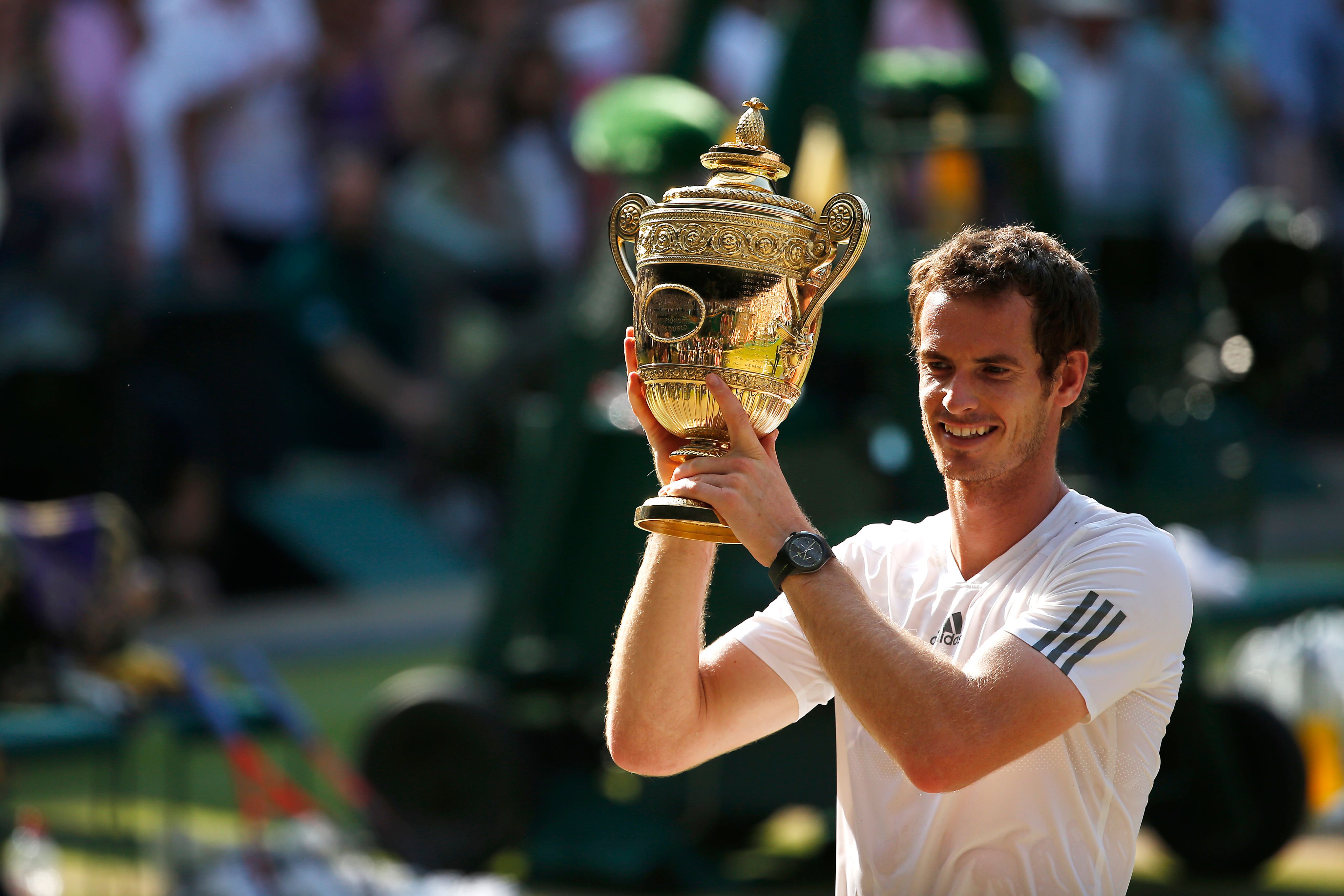 Murray celebrates his Wimbledon triumph in 2013