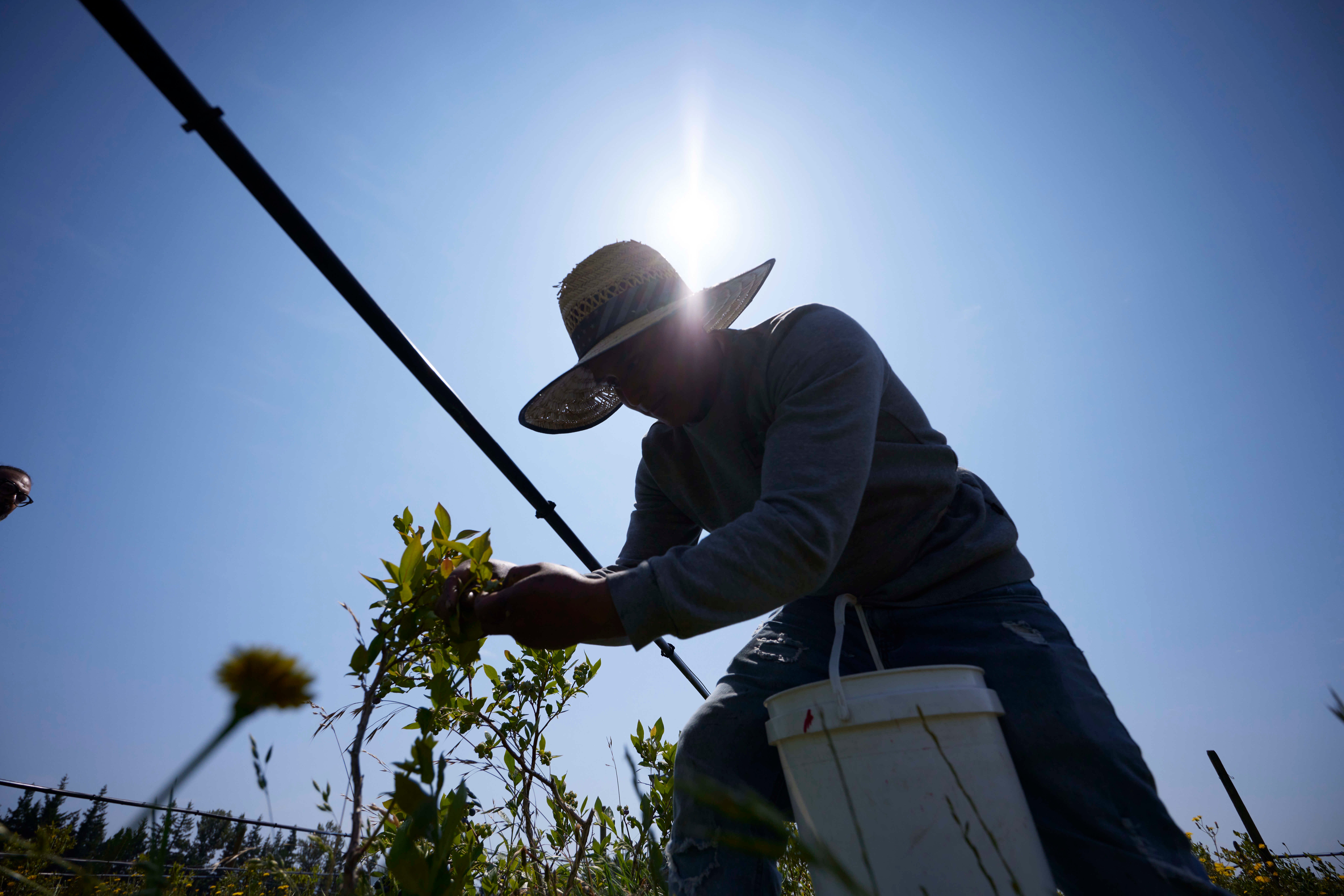 Heat-Farmworker Exposure