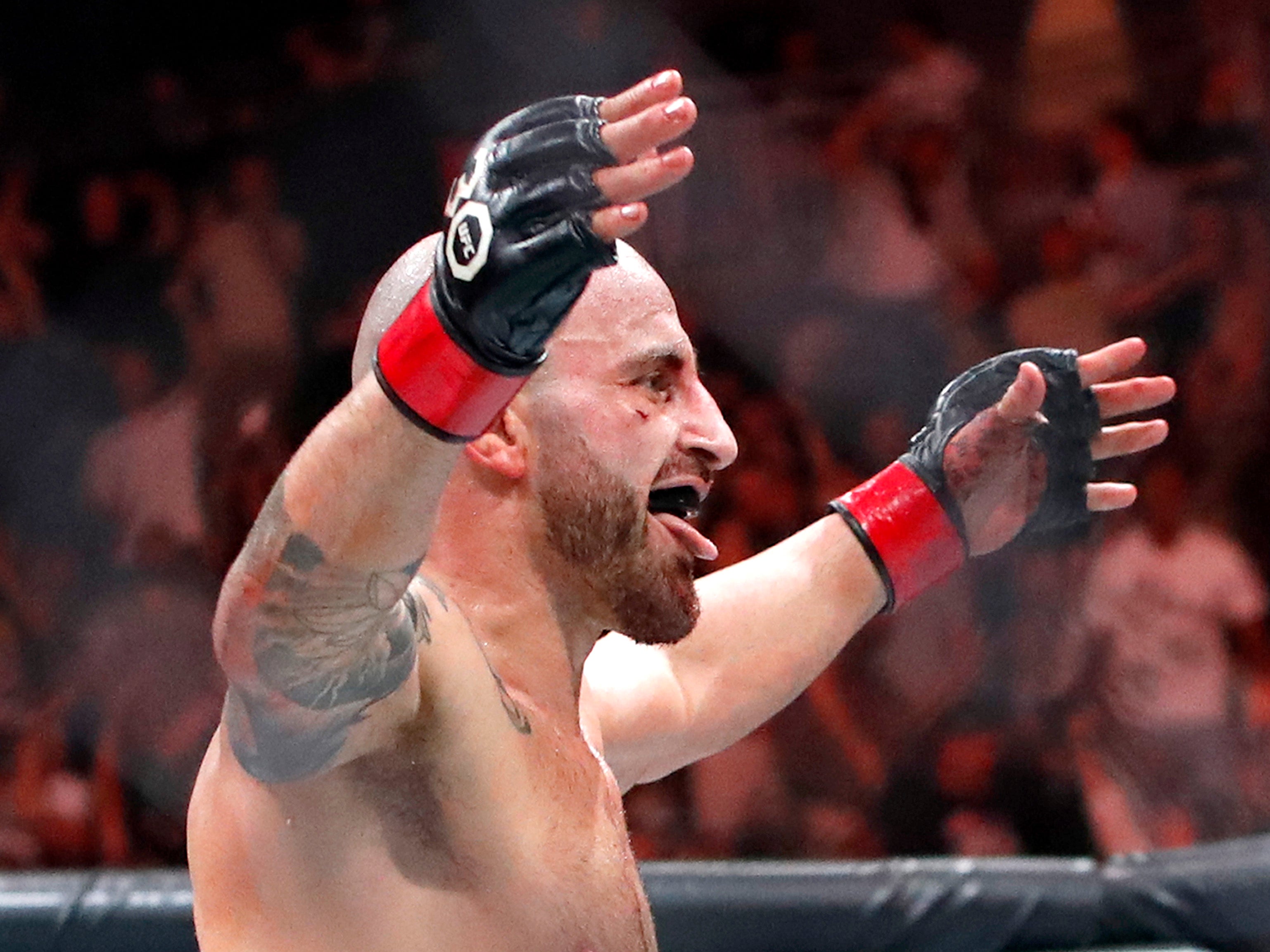 Alexander Volkanovski has lost his last two fights via knockout