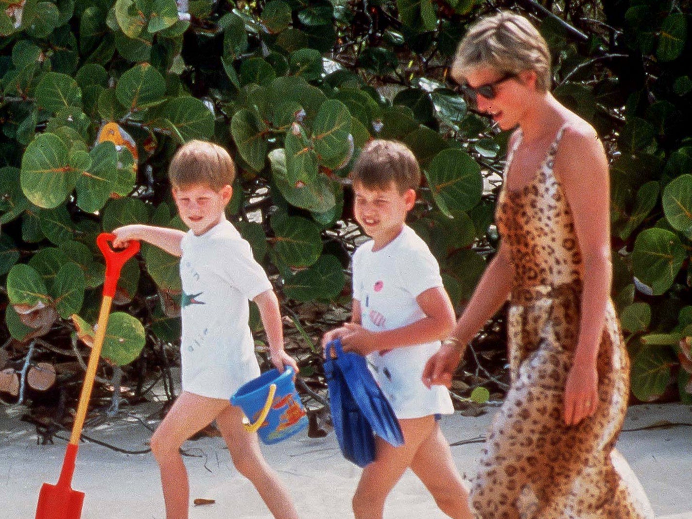 Diana and her sons, Prince William and Prince Harry, quickly became regulars at the café