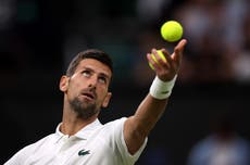 Novak Djokovic told to ‘get on with it’ as Wimbledon fans left frustrated