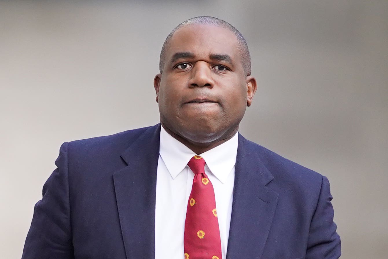 ‘In the next election, our offer will be based on hope, not fear,’ shadow foreign secretary David Lammy will say