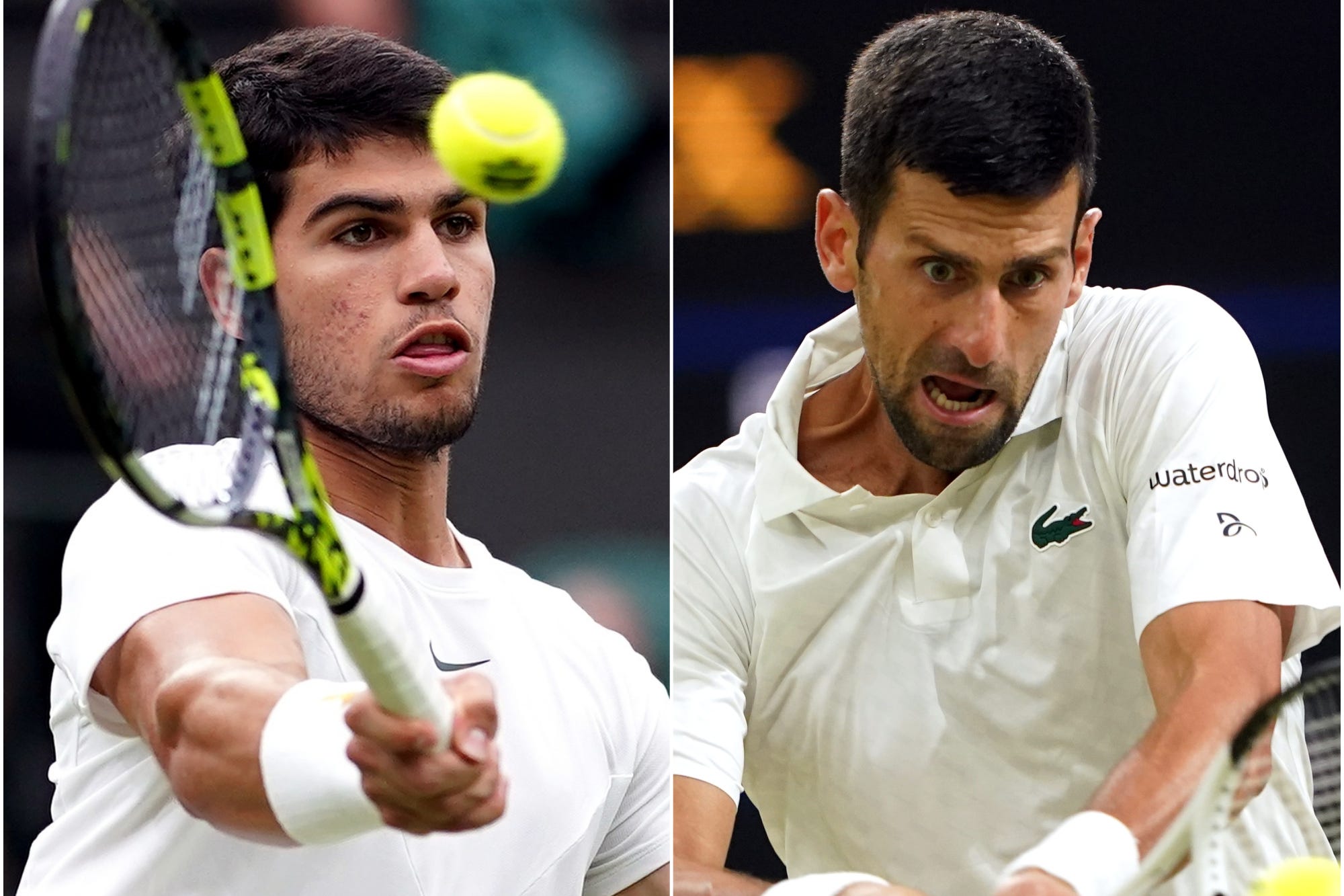 Carlos Alcaraz and Novak Djokovic (PA)