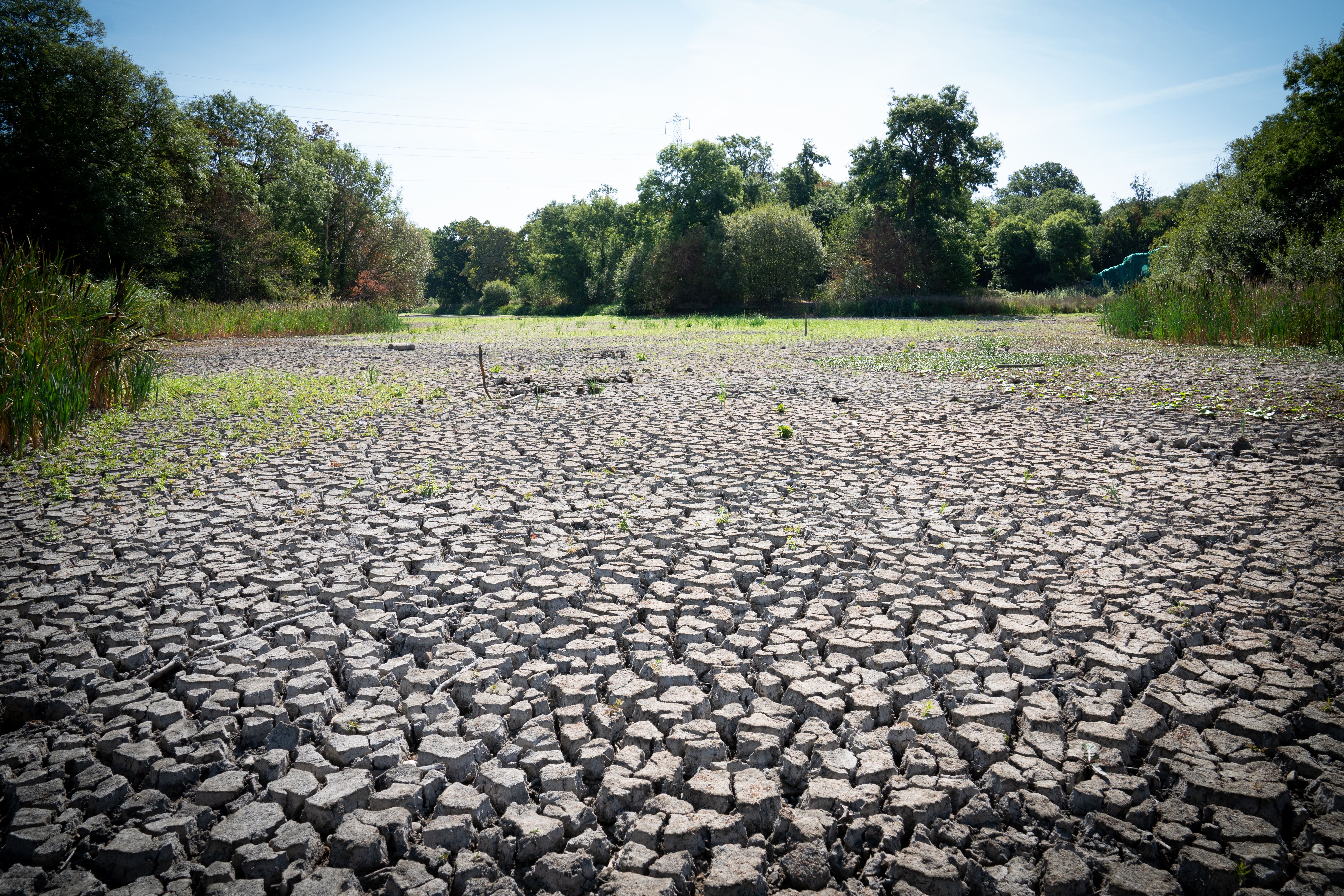 Experts said the world was ‘in uncharted territory’ with regards to the exceptional warmth (Stefan Rousseau/PA)