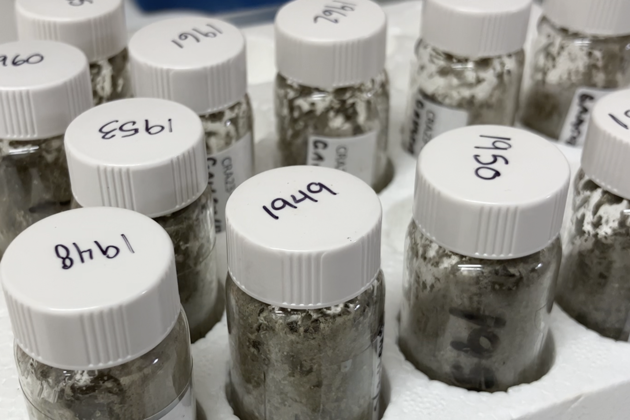 Sediment samples taken from Crawford Lake in Ontario, Canada (University of Southampton)