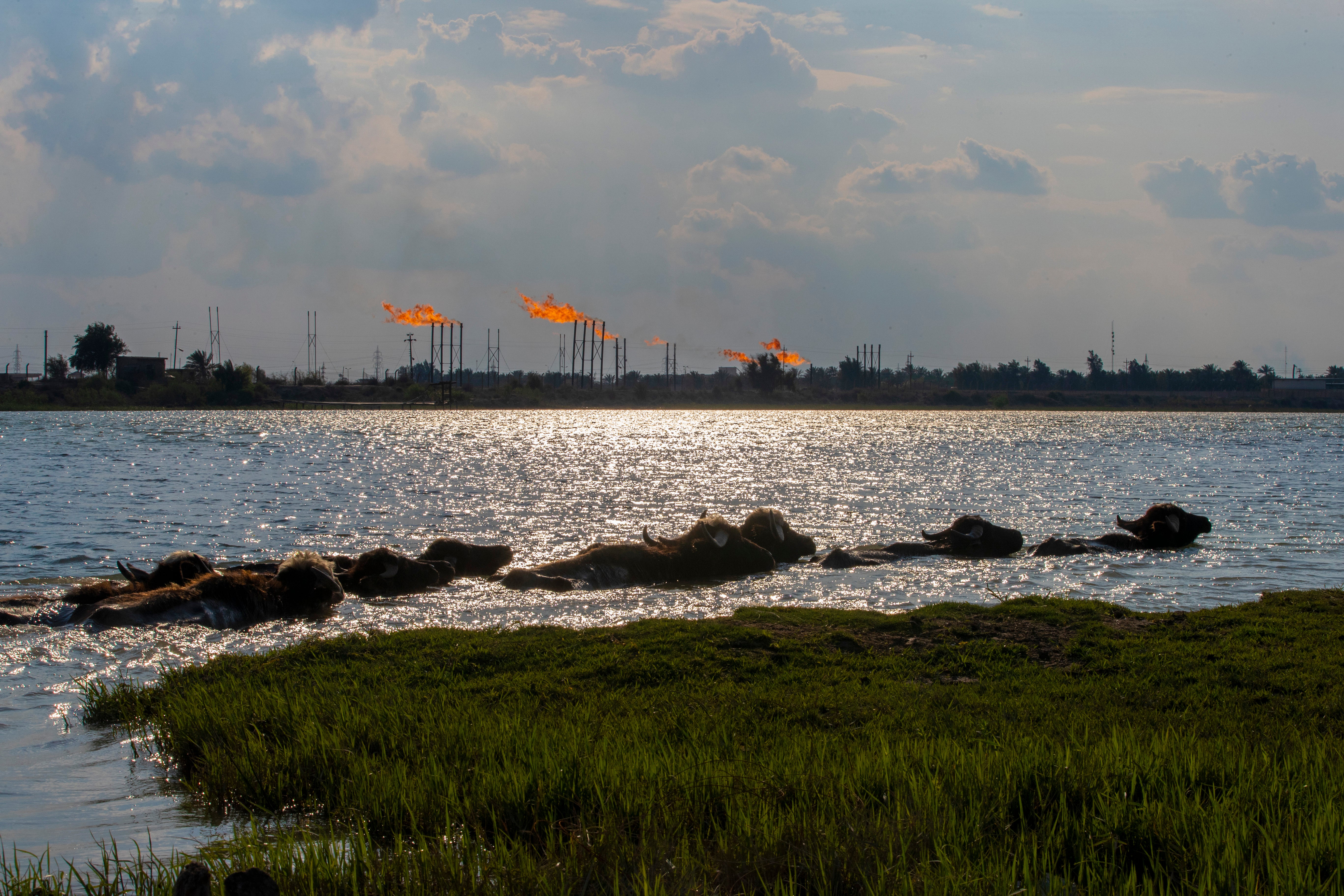 Iraq Energy Megadeal