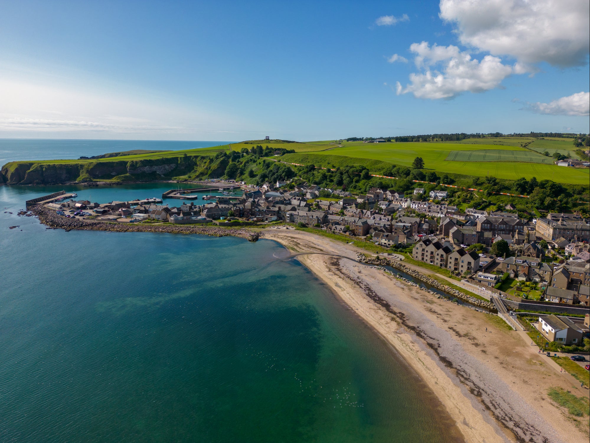 Bird flu is blighting the population around Stonehaven