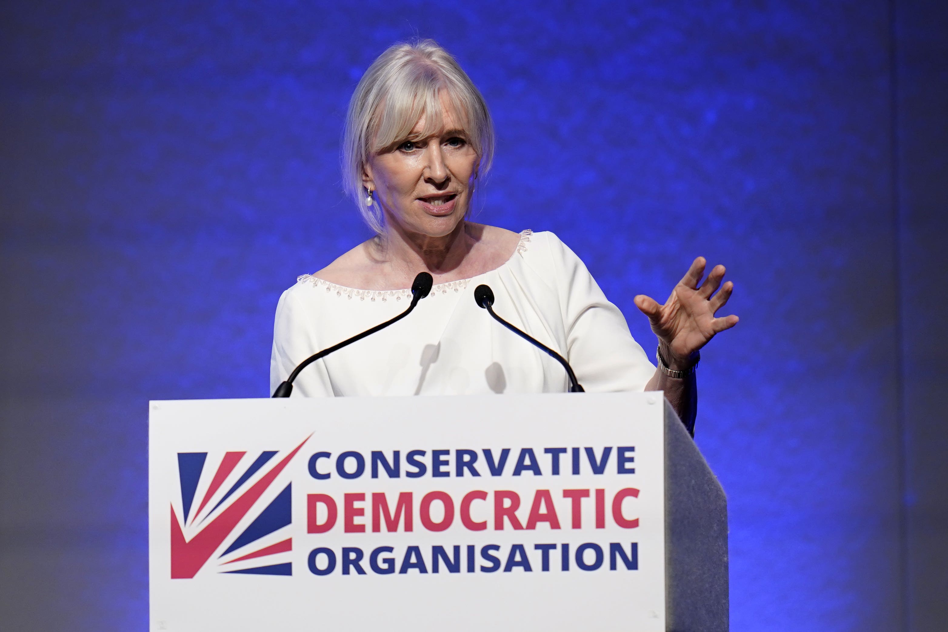 Nadine Dorries has written a book titled The Plot: The Political Assassination Of Boris Johnson (Andrew Matthews/PA)