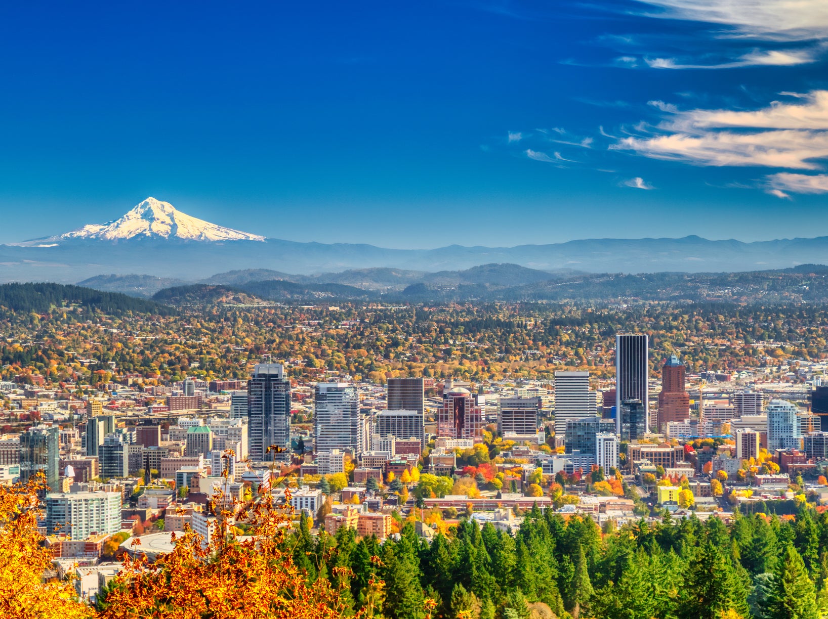 Portland shares plenty of street names with Simpsons characters – and is that Mount Springfield in the background?