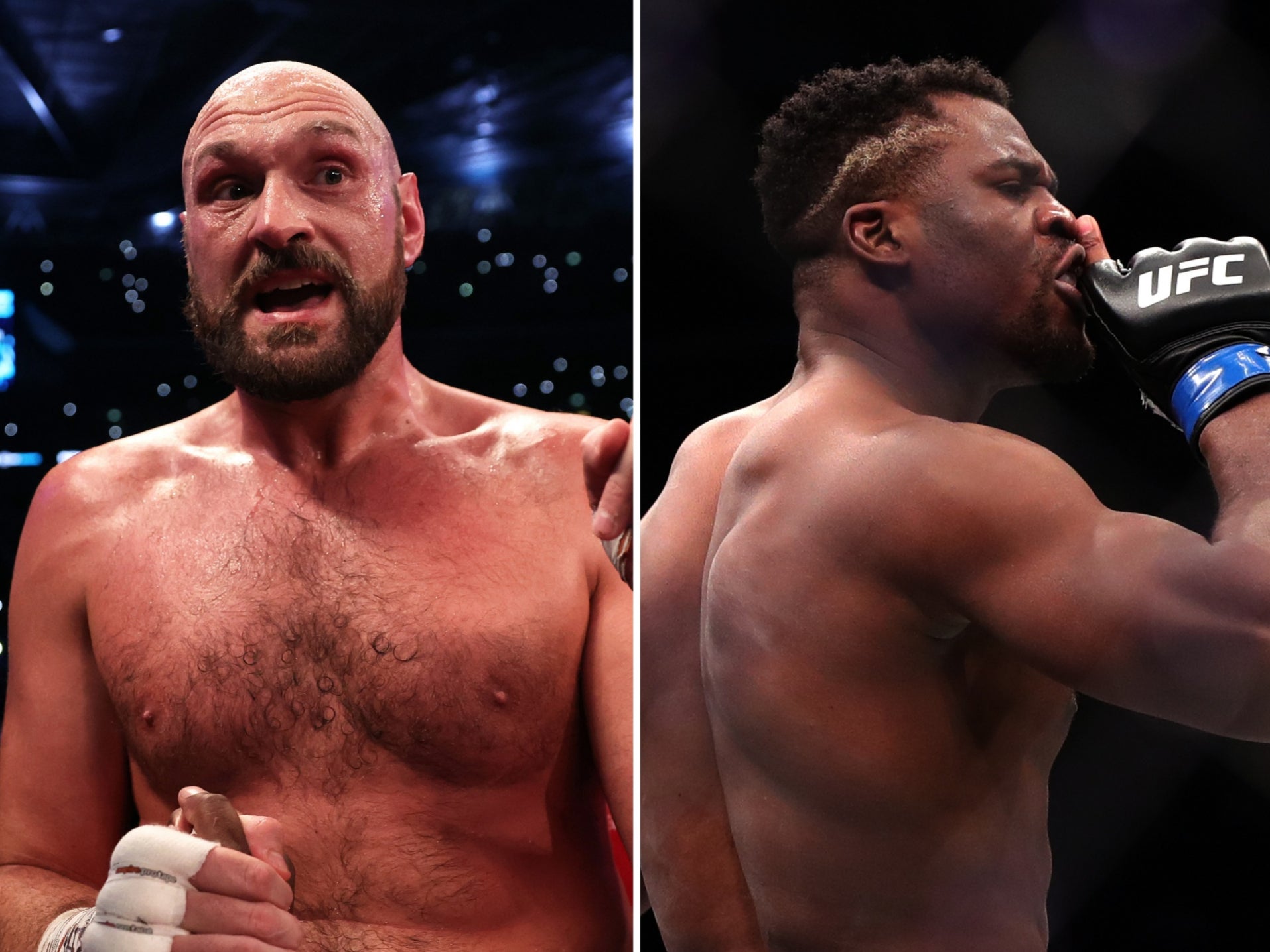 Fury (left) will box ex-UFC heavyweight champion Ngannou in October