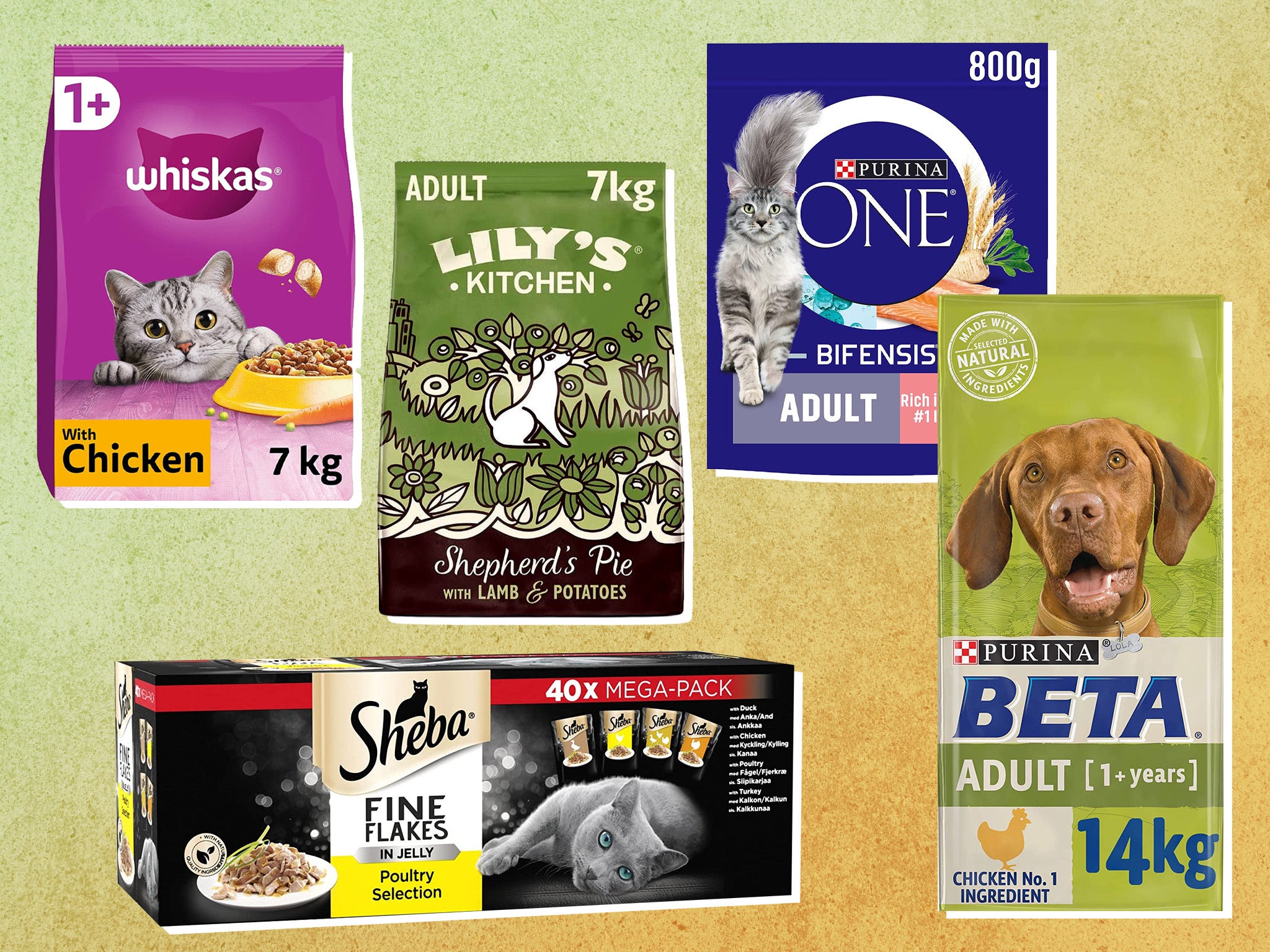 Save cash on your four-legged friend’s dinner