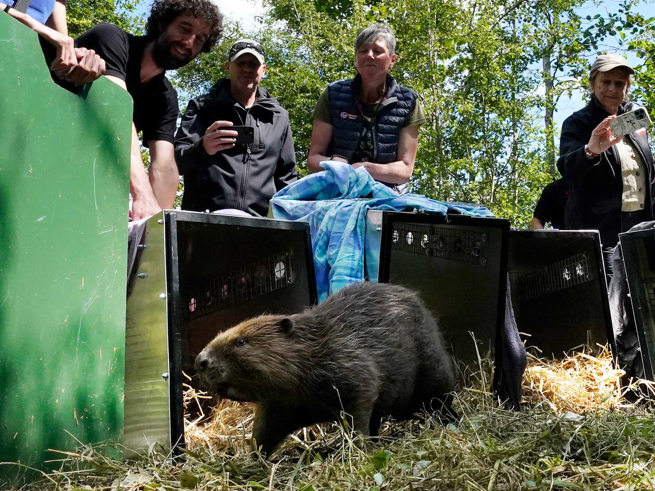 The four were released in Northumberland