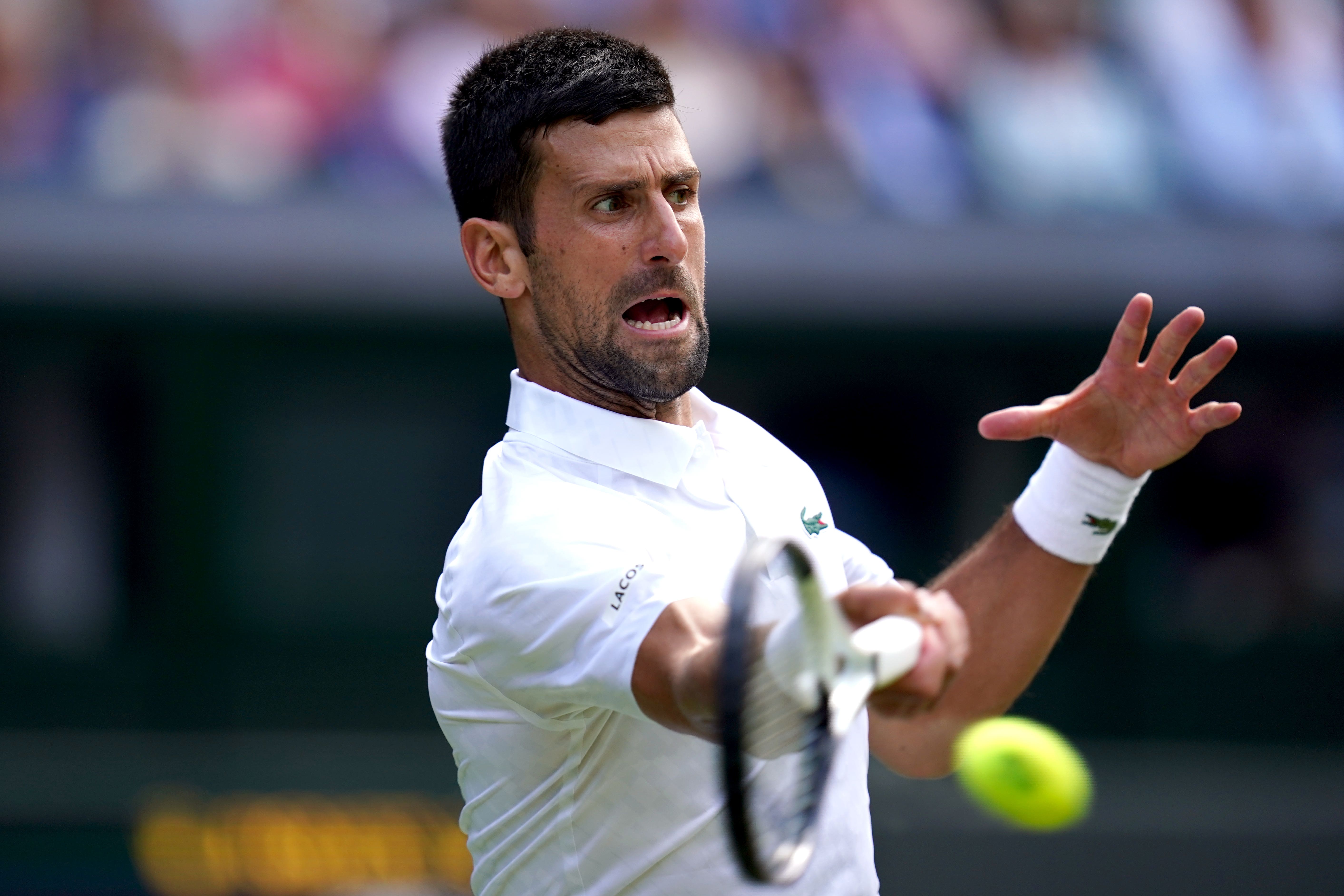Novak Djokovic will take on Jannik Sinner in the Wimbledon semi-finals (John Walton/PA)