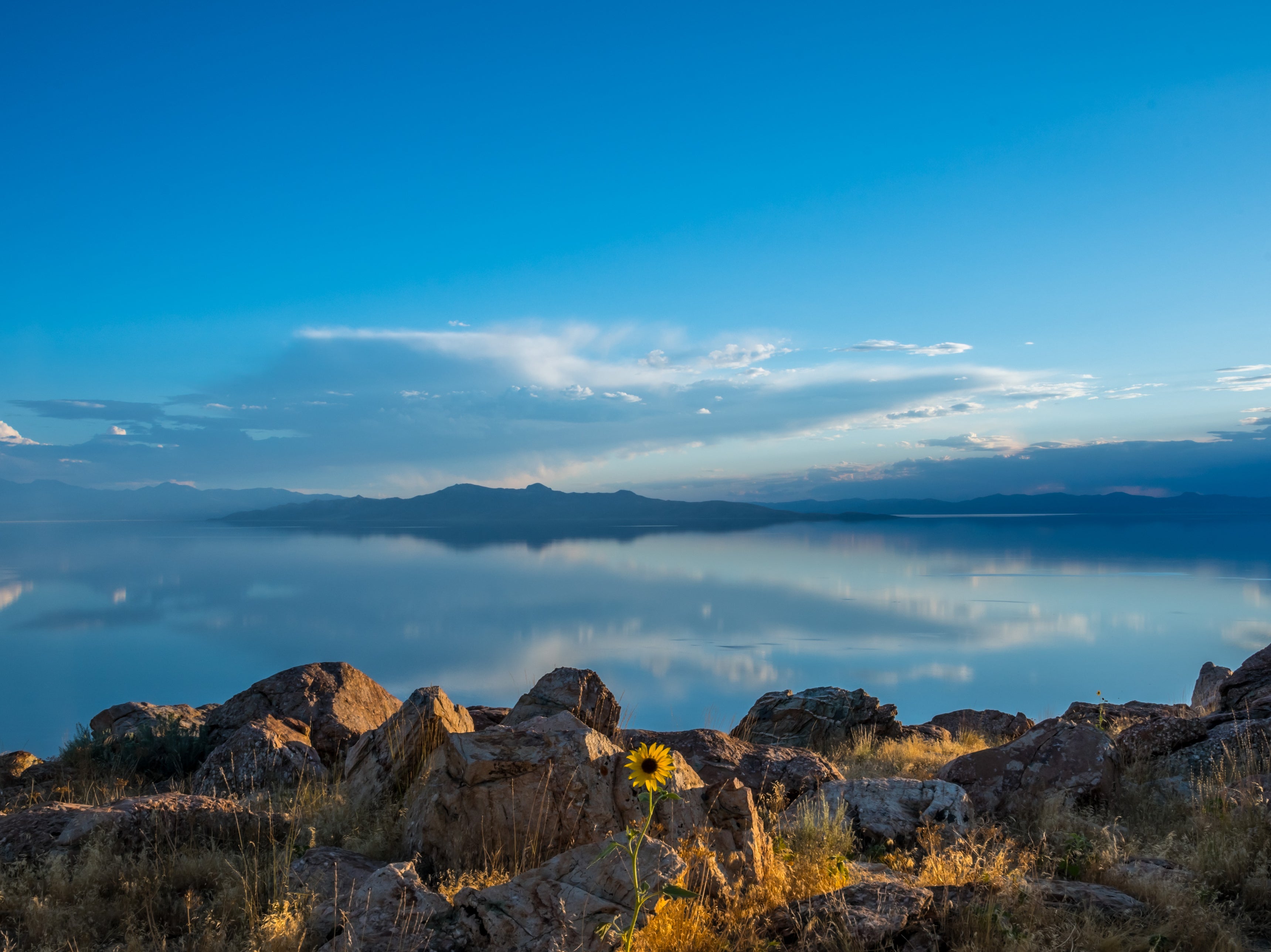 Antelope Island is the largest of the Great Salt Lake’s islands