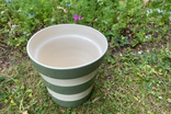 Cornishware coronation planter