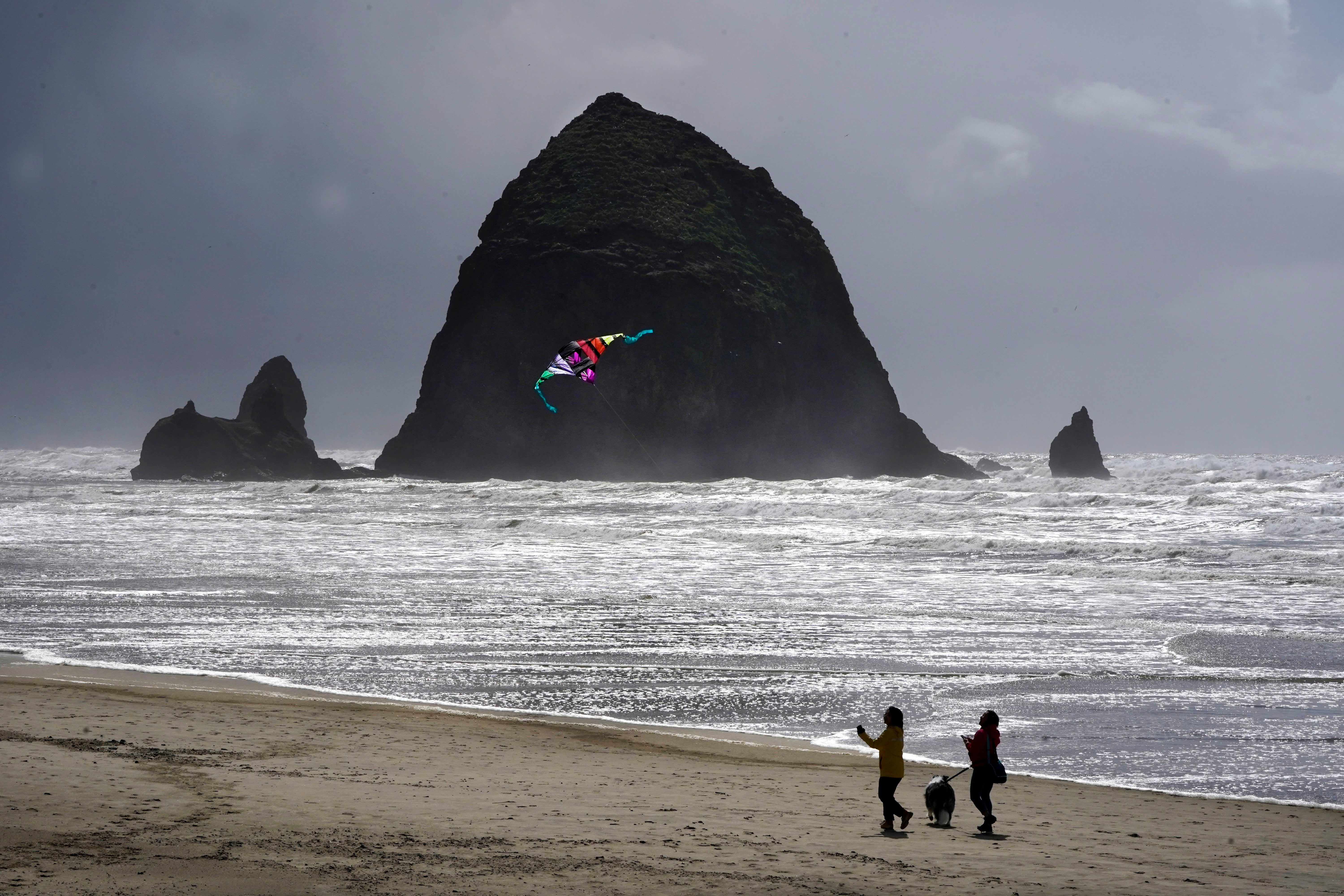 Cannon Beach Cougar