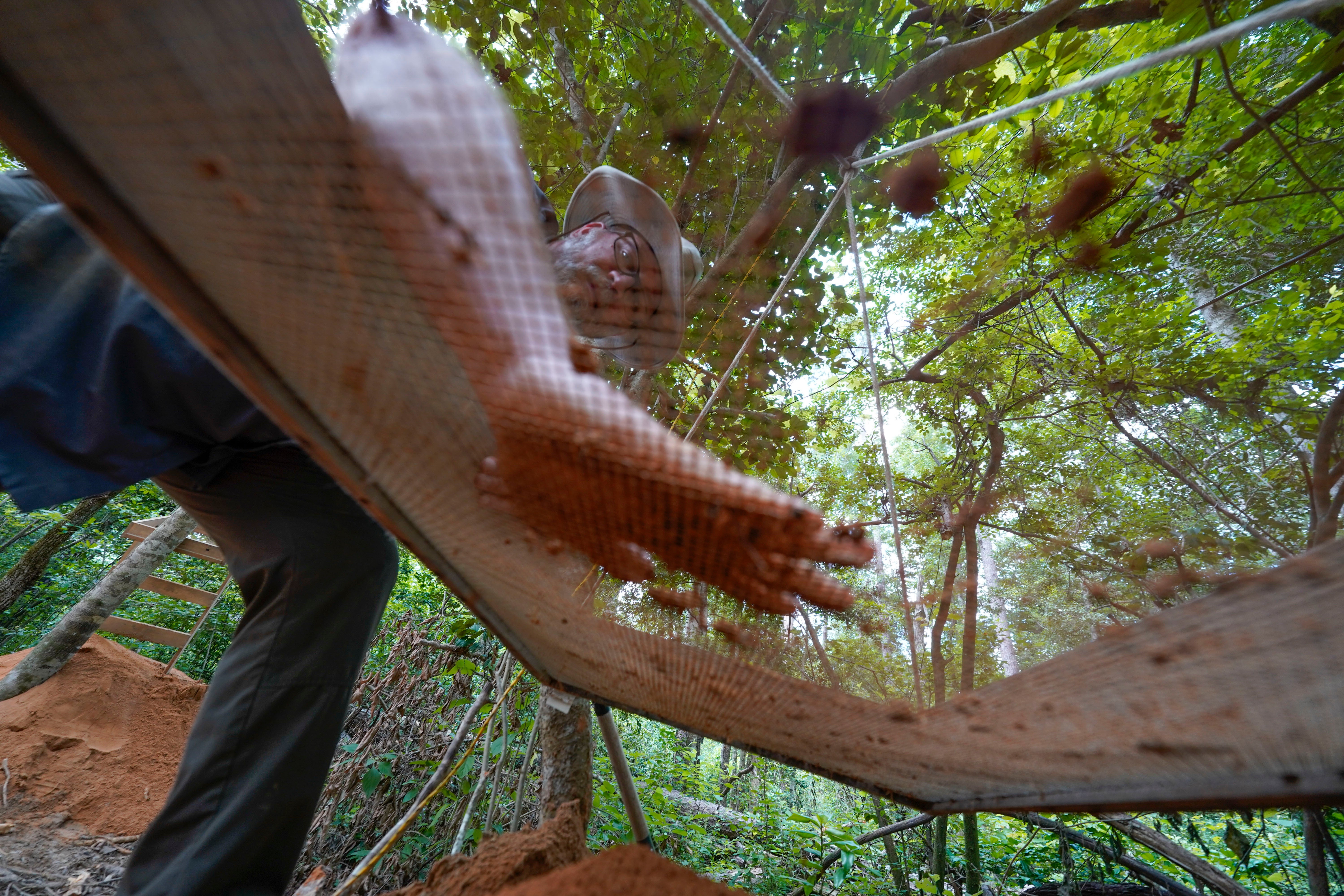 Louisiana Archeology