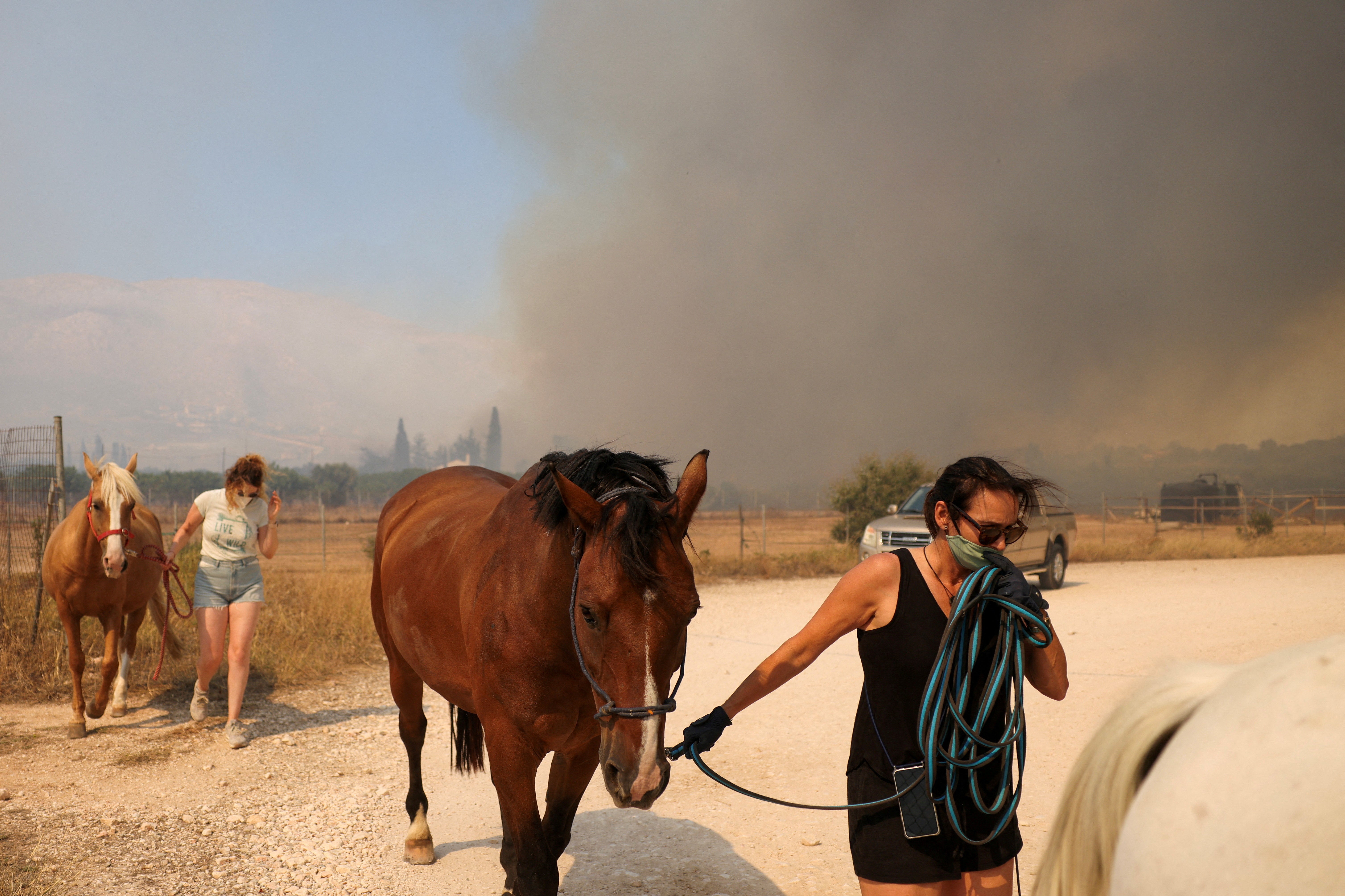 People evacuate horses from a horse riding centre, as a wildfire burns in Kalyvia, near Athens, Greece, 17 July 2023