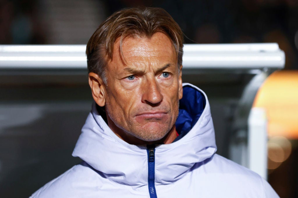 Herve Renard stepped in after Corrine Diacre was sacked