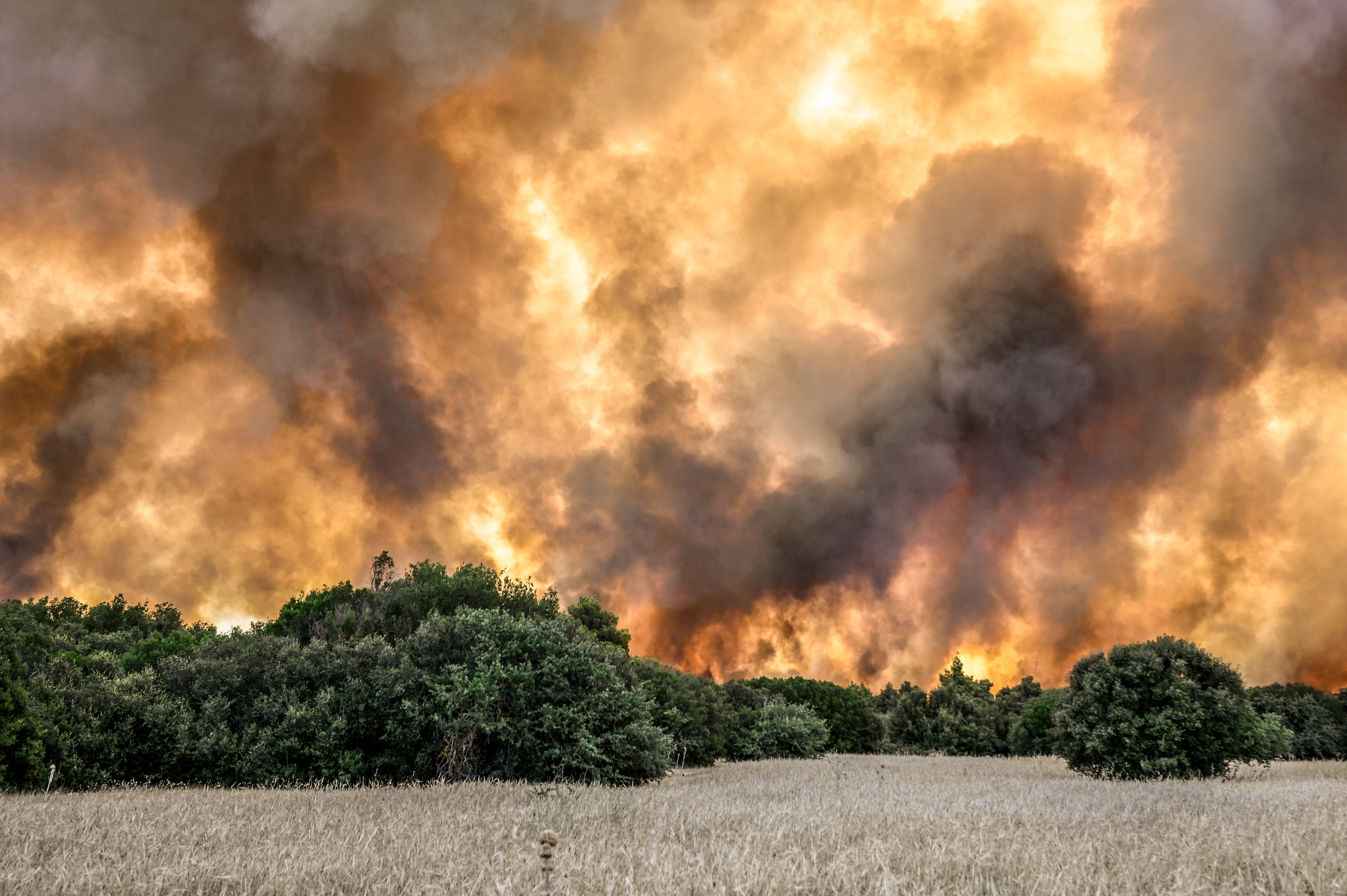 Wild fires engulf the fields near the settlement of Pournari, in the area of Magoula, some 25km southwest of the Greek capital Athens on July 18, 2023