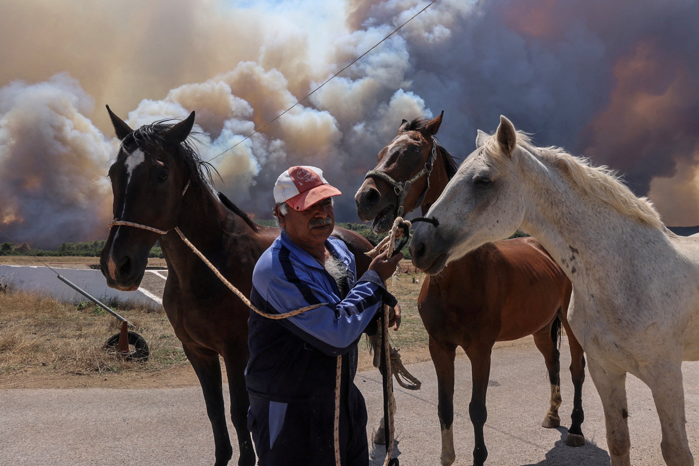 A man evacuates horses as a wildfire burns near the village of Pournari, Greece.