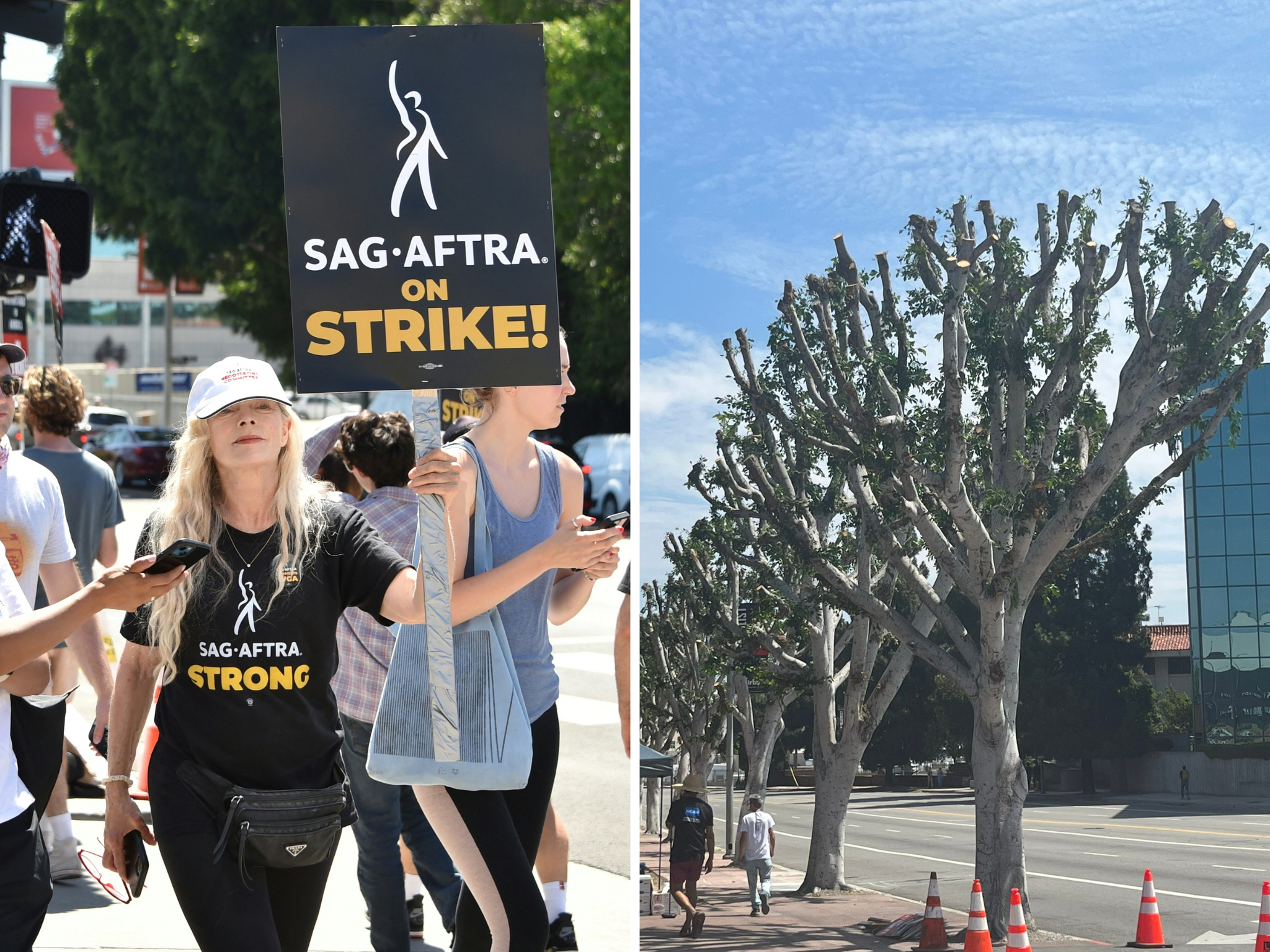 Los Angeles strike and trimmed trees