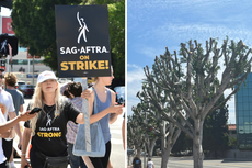 Universal Studios gets heat for allegedly trimming trees that gave SAG strikers shade in 90-degree weather