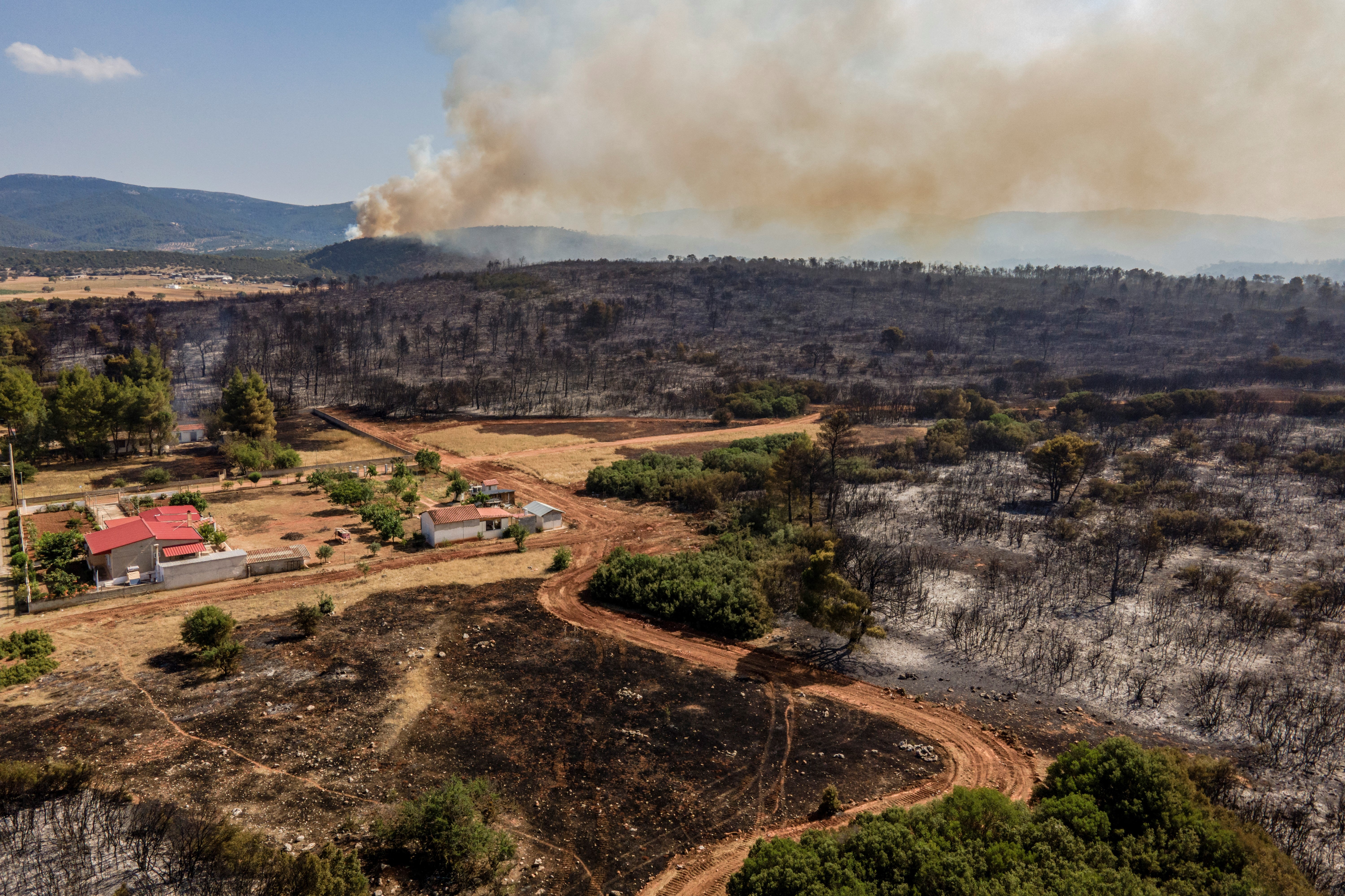 An aerial view shows a burnt forest after a fire in Magoula, 21km northwest of central Athens